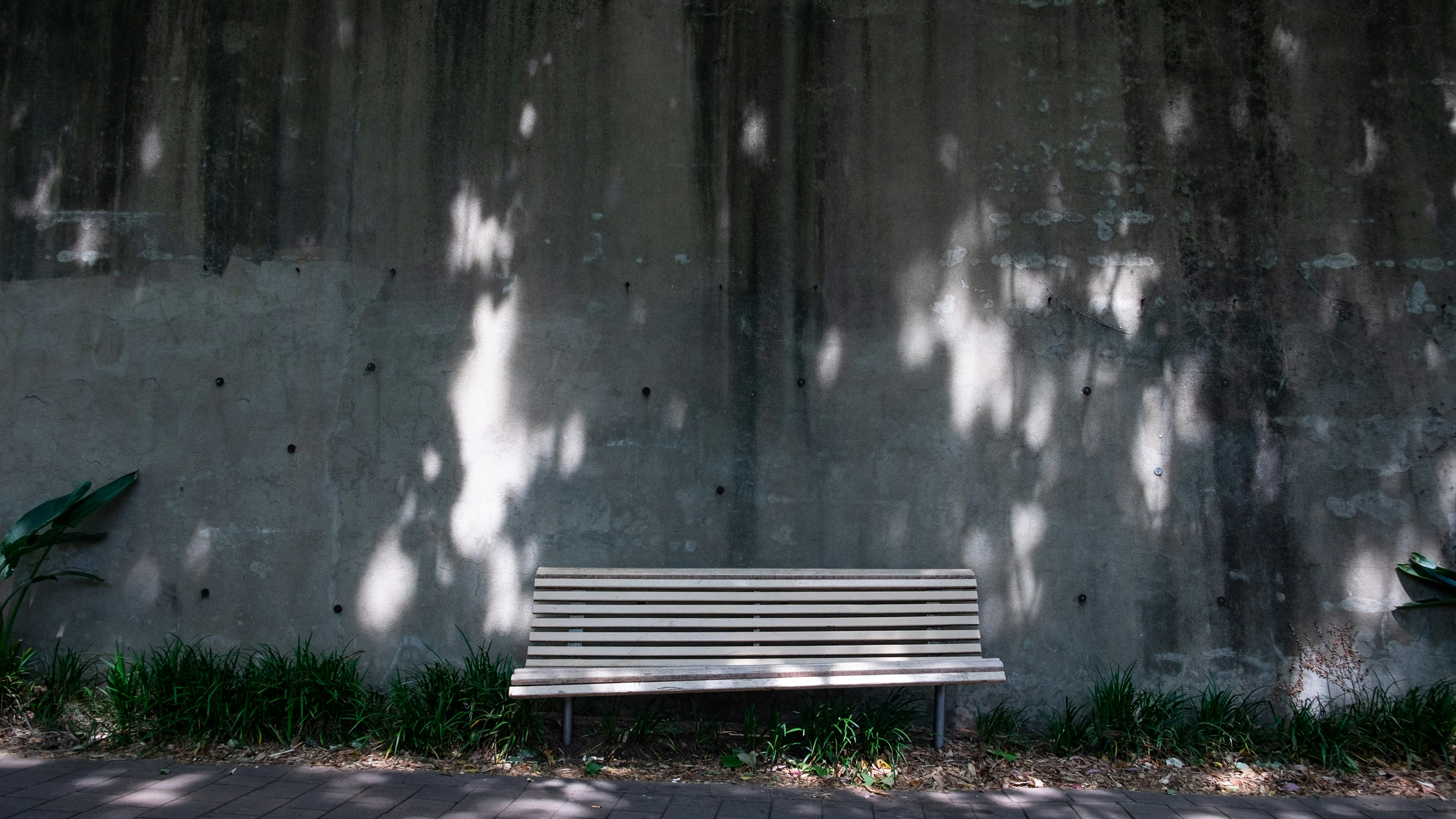 Una scena semplice con una panchina bianca di fronte a un muro di cemento e vegetazione