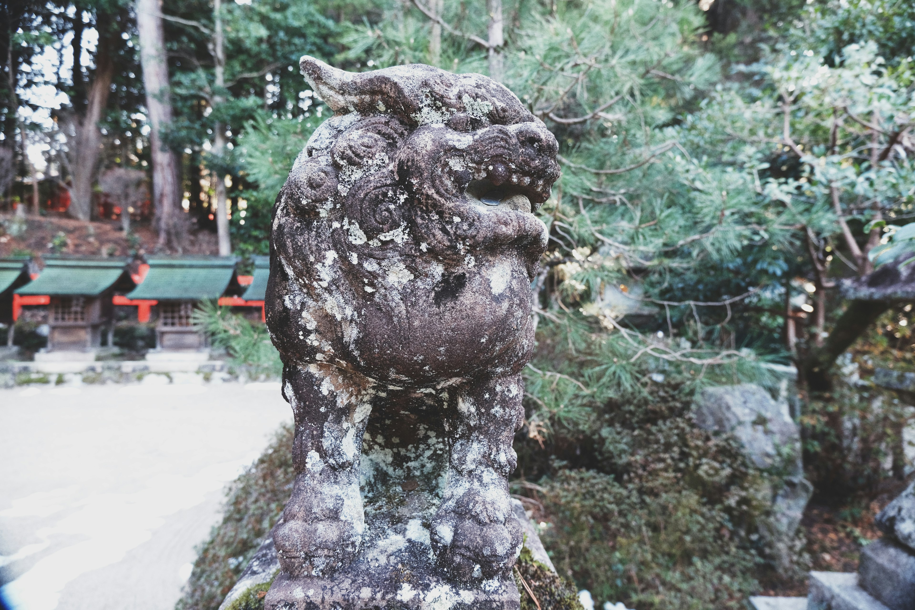 Ancient stone lion statue standing in the forest