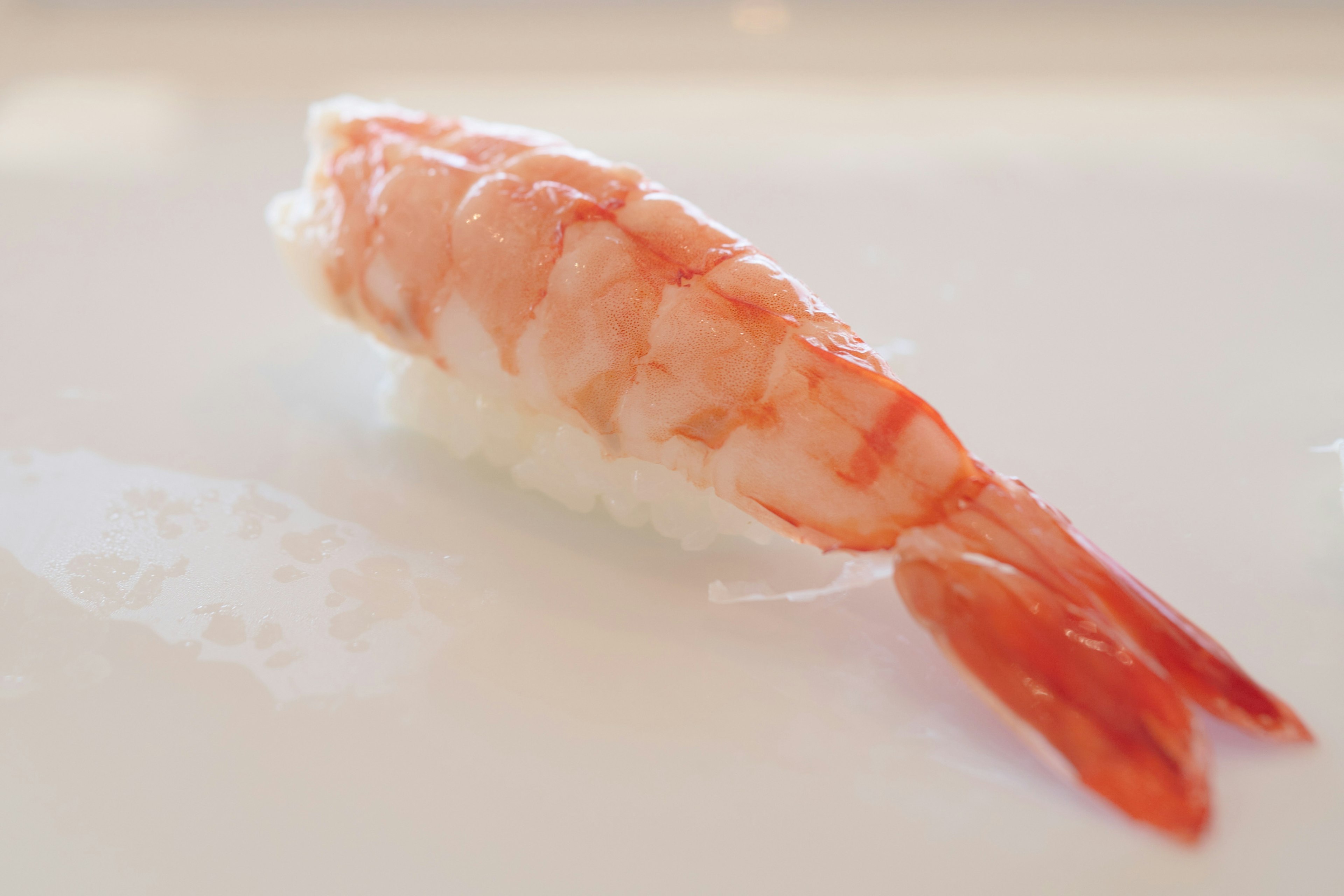 Shrimp nigiri sushi on a white plate