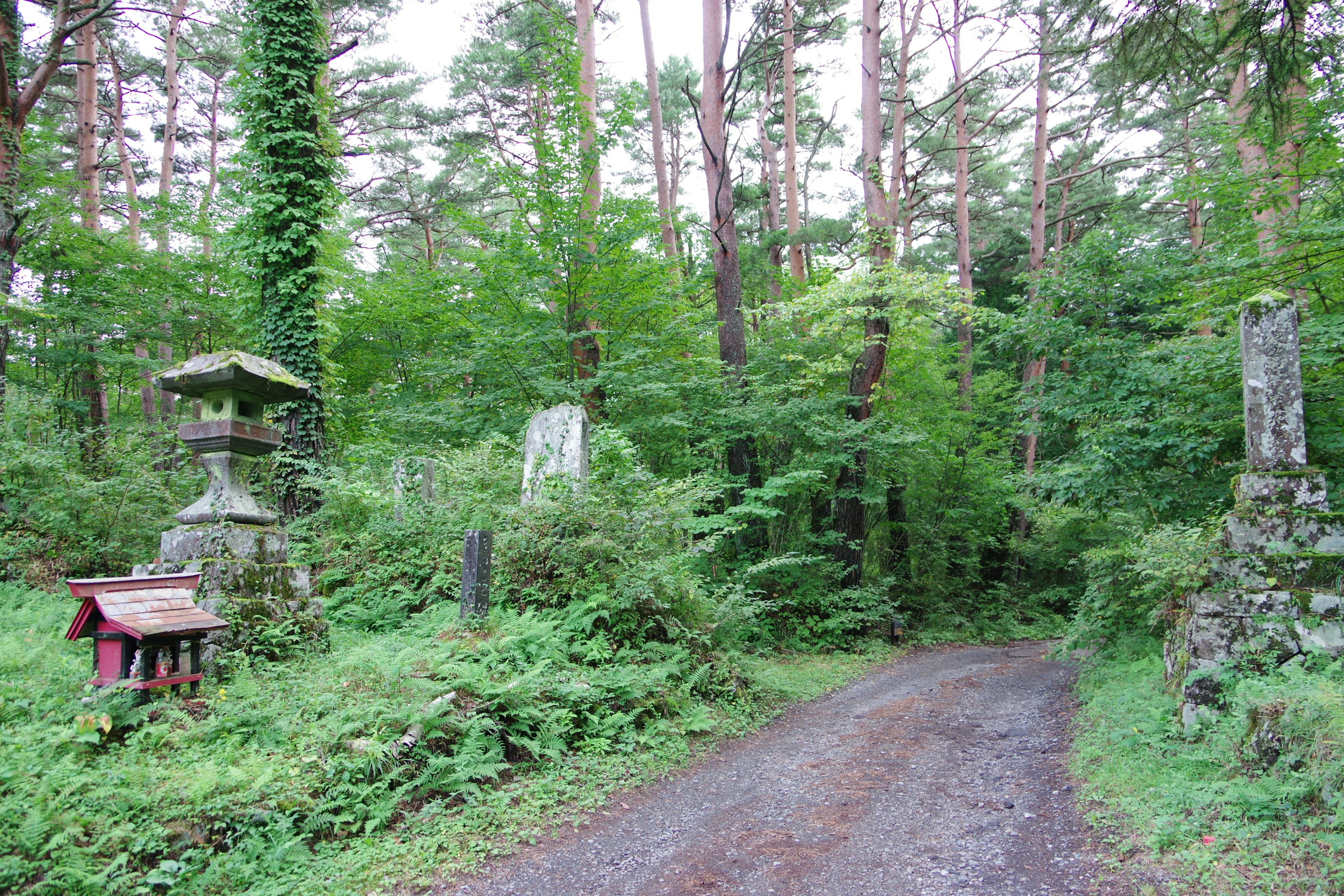 Un camino en un bosque frondoso con faroles de piedra y antiguas lápidas