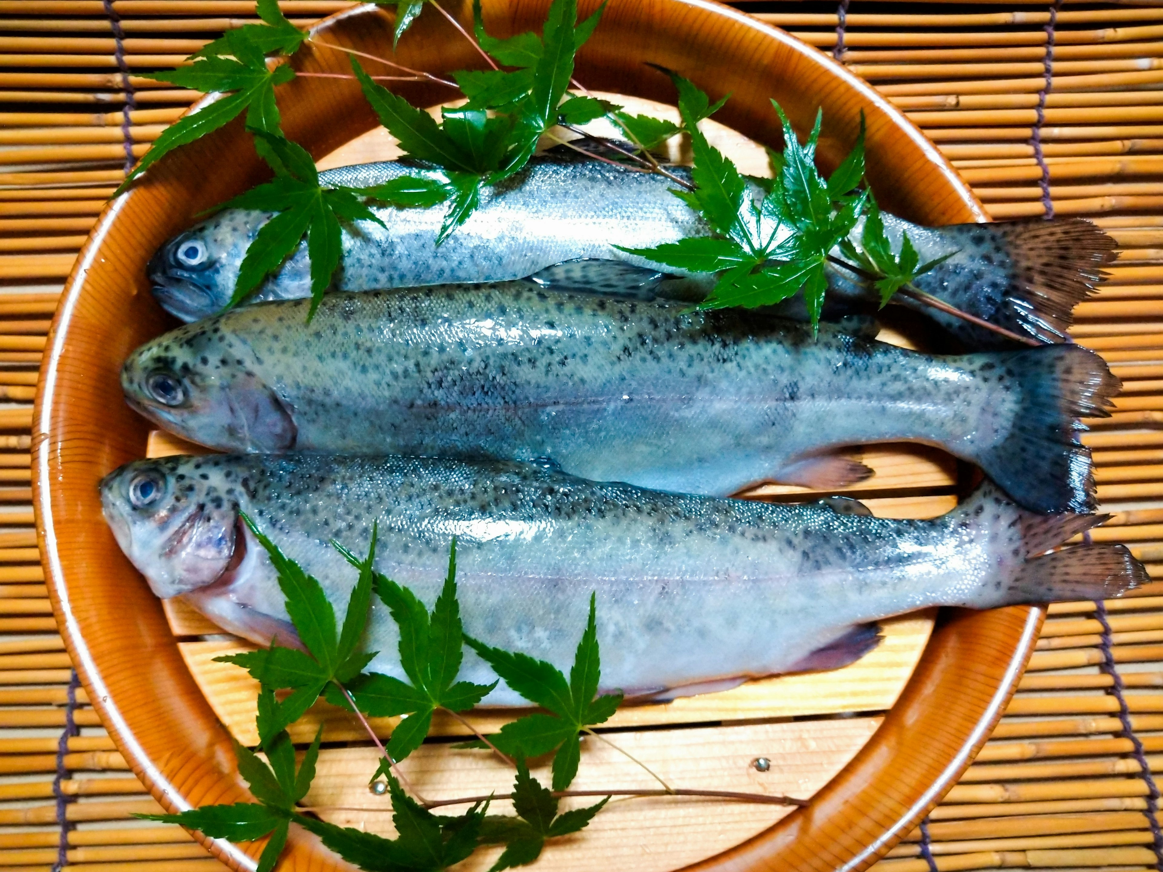 Fresh rainbow trout on a plate with green leaves