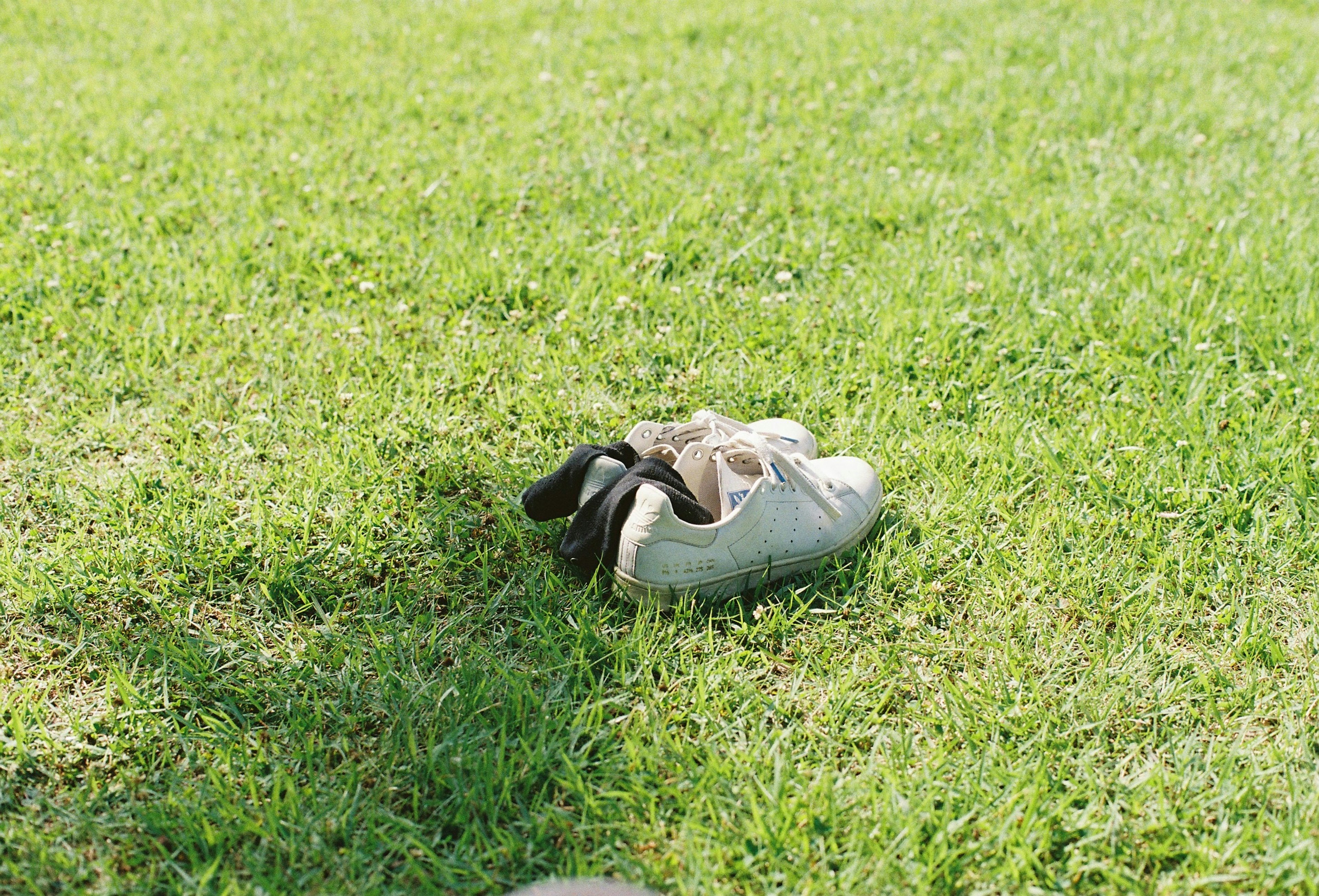 photo-NiLNAa6Lh1utwM4IQAMF-image