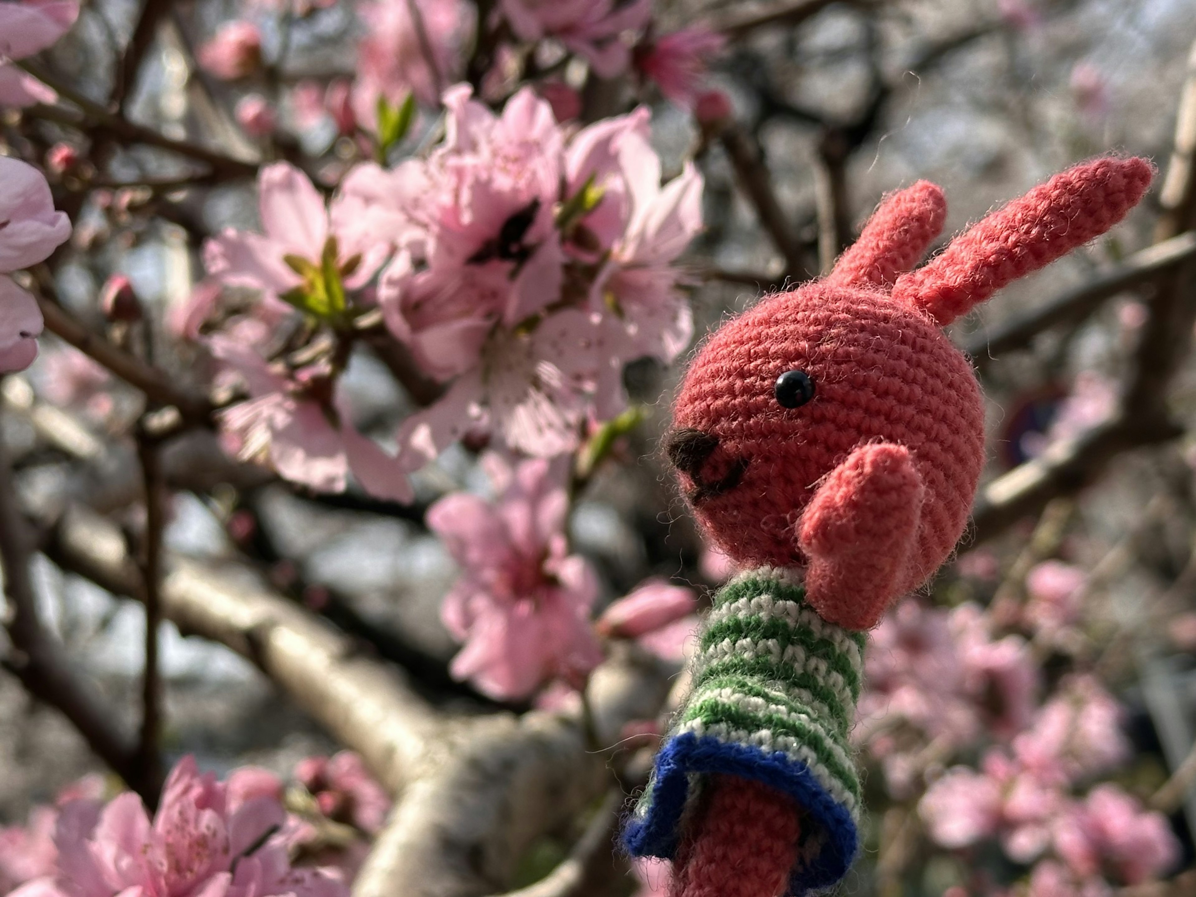 桜の花の中にいる編みぐるみのウサギ