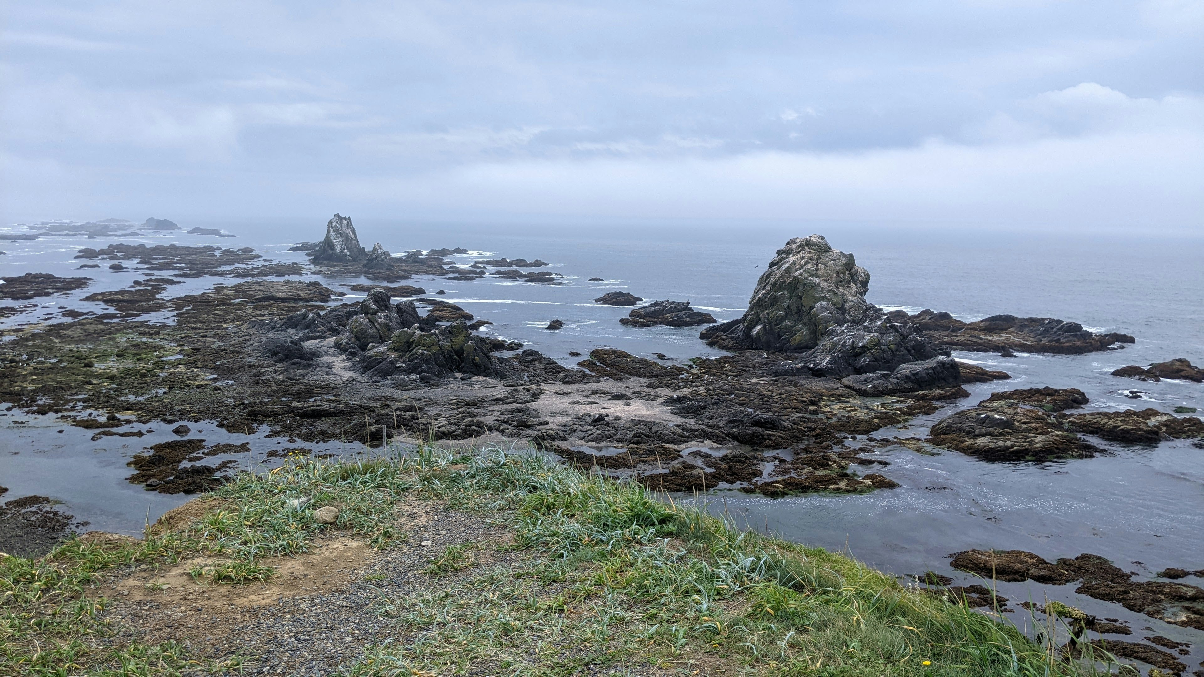 霧氣籠罩的海岸岩石風景