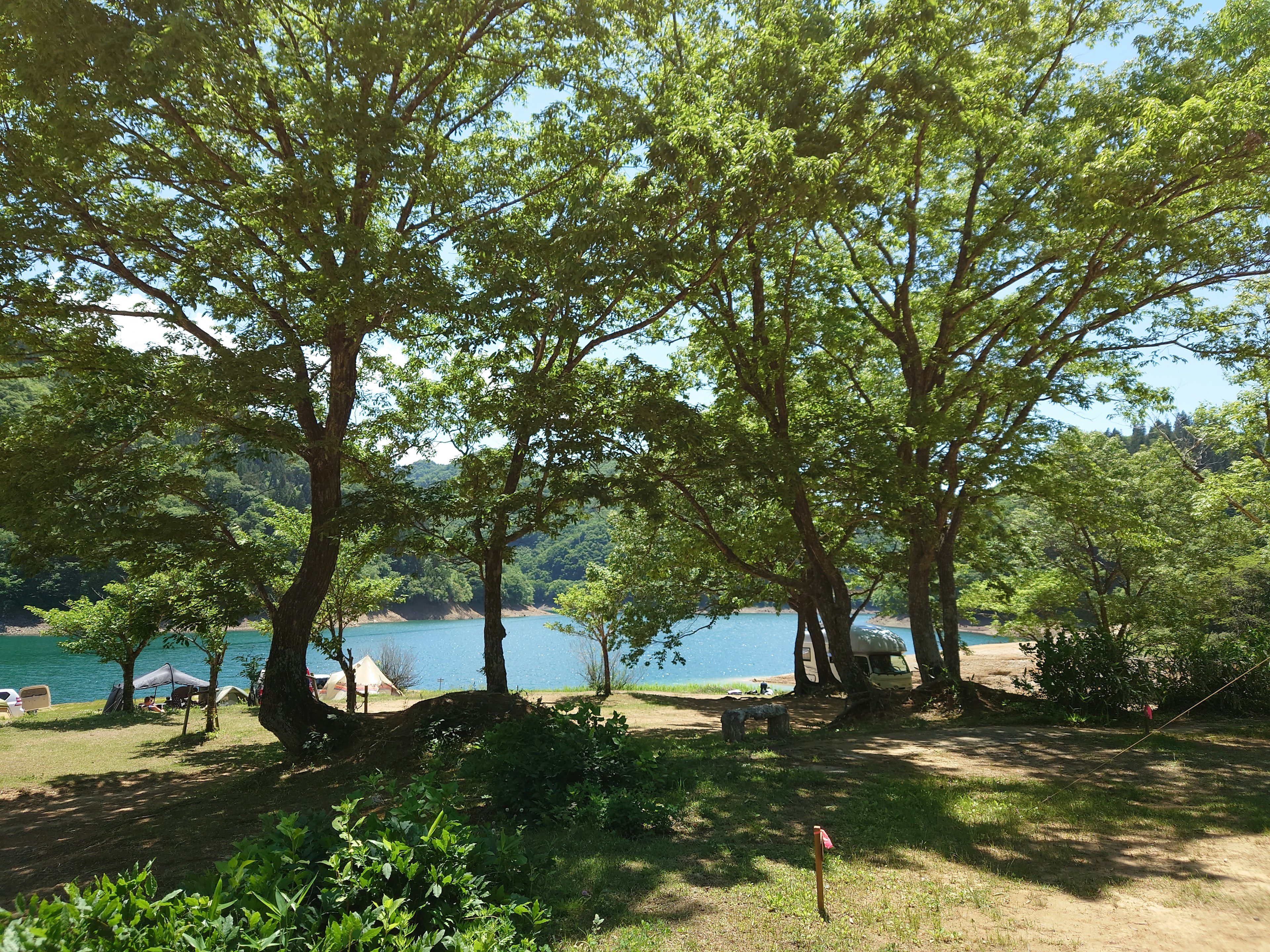 Vista panoramica di un lago blu circondato da alberi verdi lussureggianti