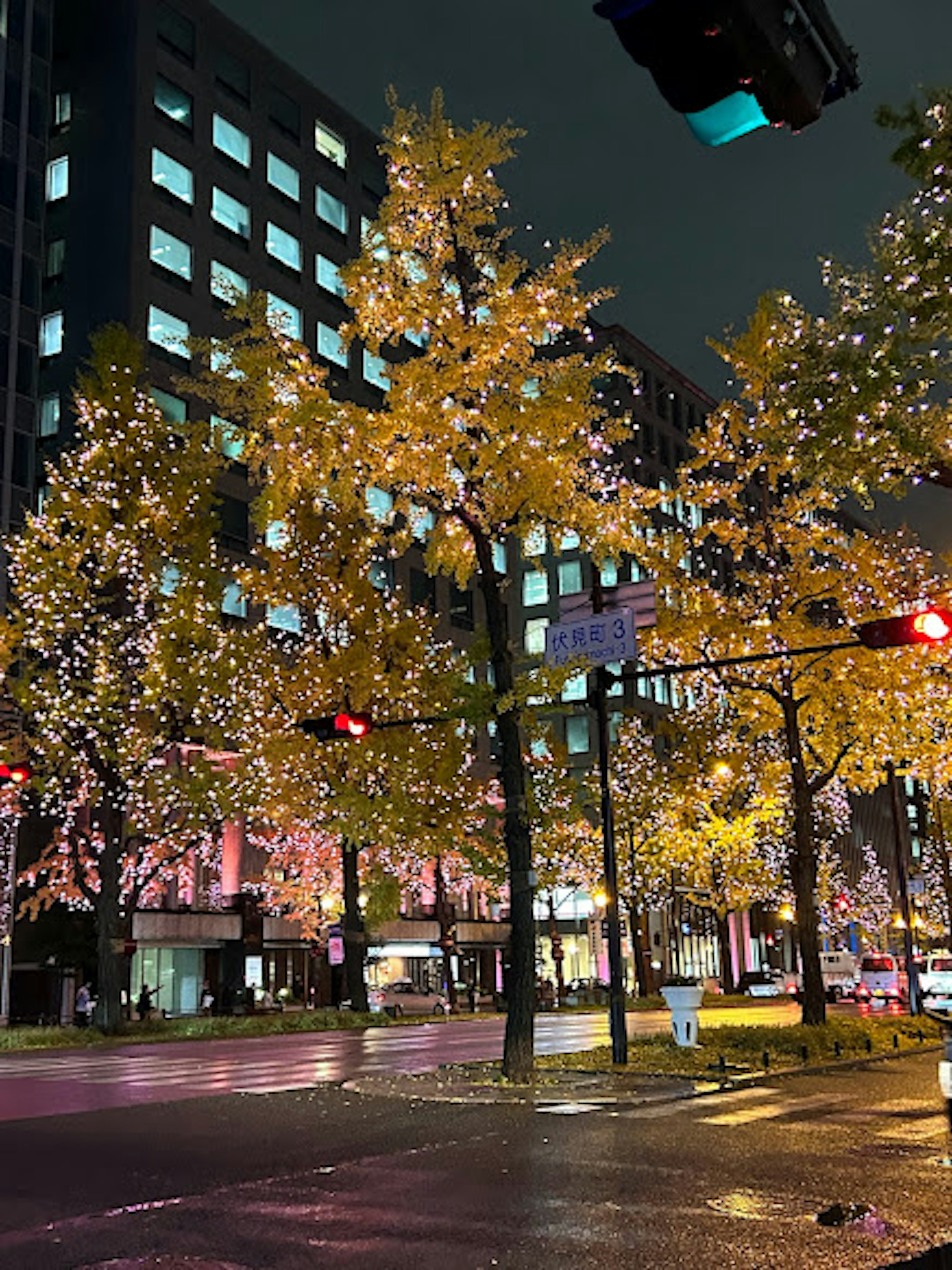 夜の街並みに輝くイルミネーションの木々とビル