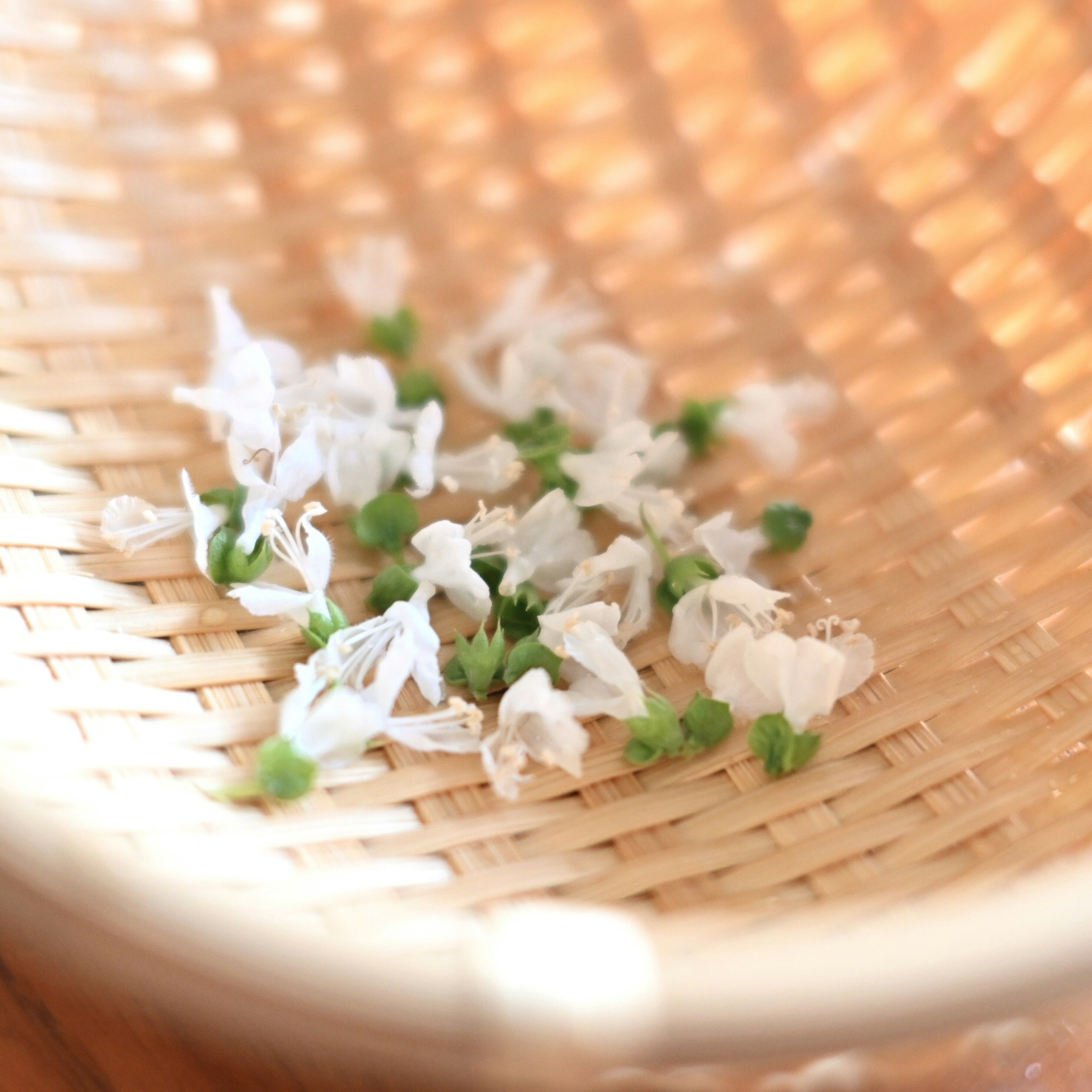 White flower petals and green sprouts in a bamboo basket