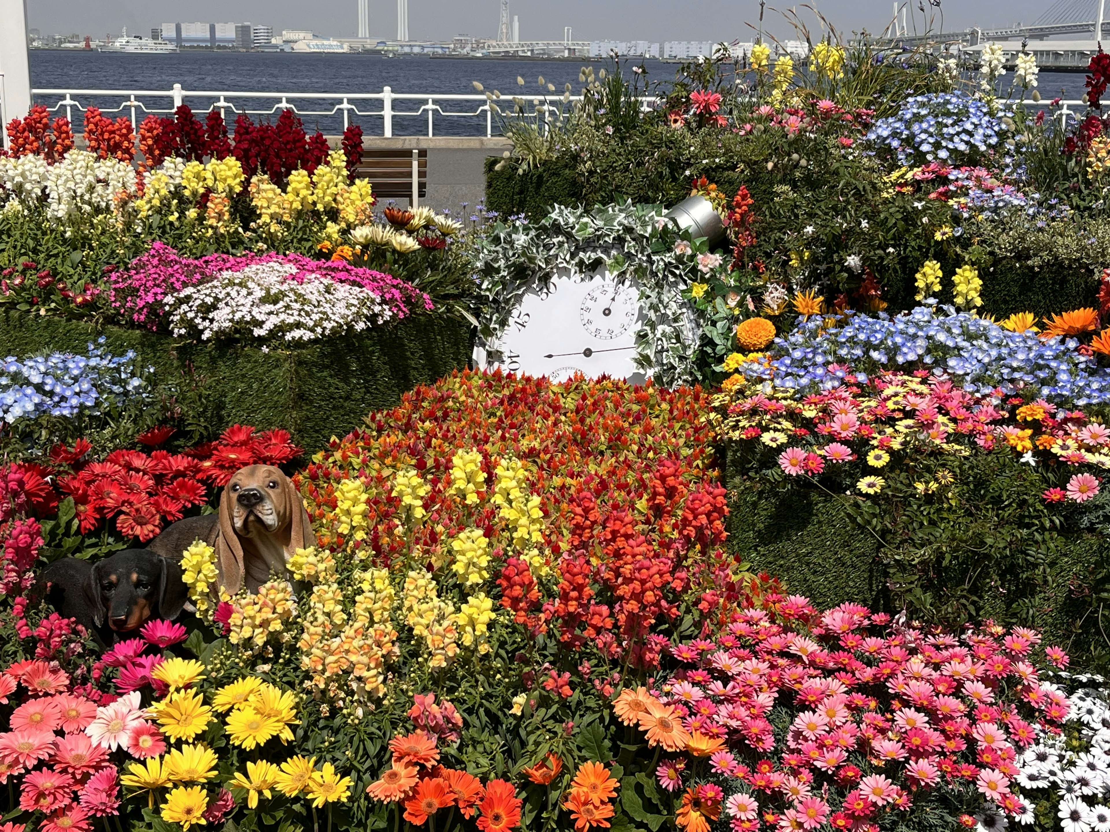 Jardín de flores vibrante con varias flores coloridas