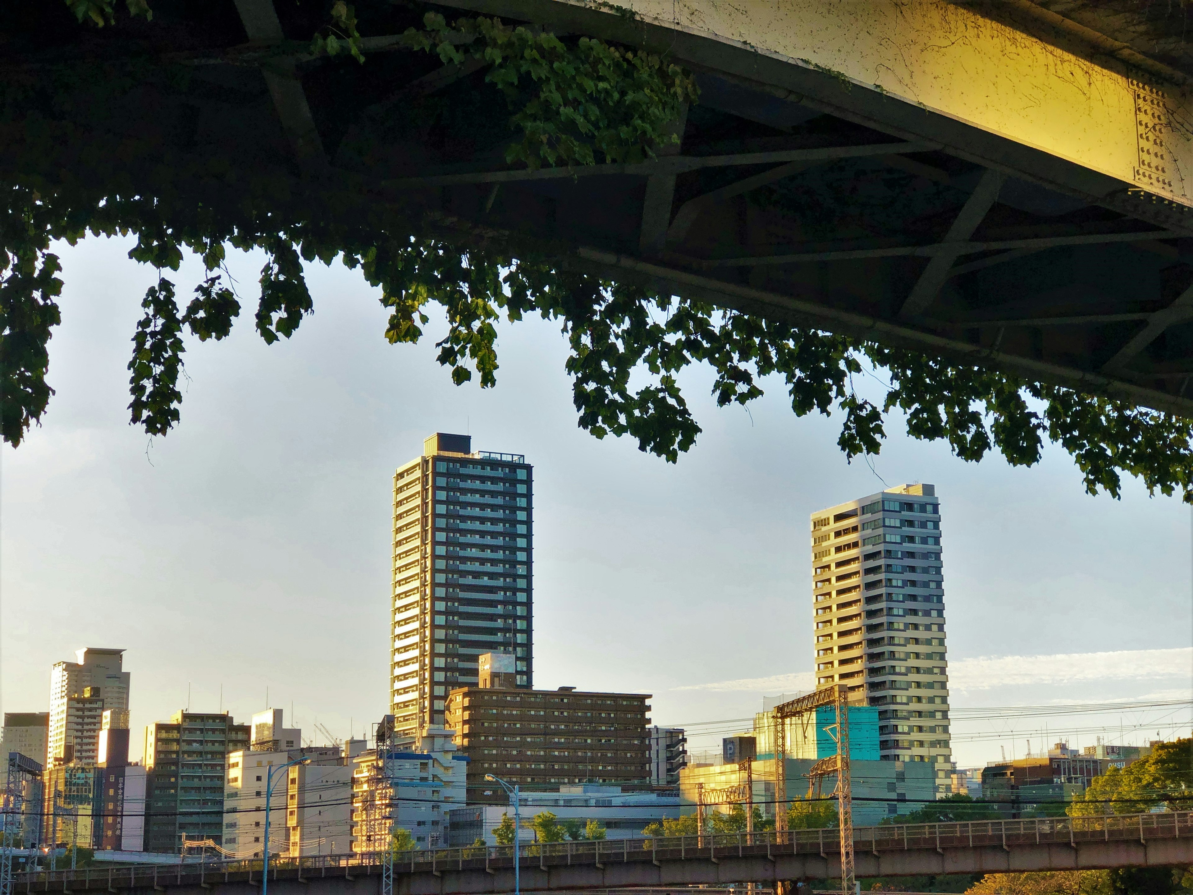 Paisaje urbano visto desde debajo de un puente con rascacielos y follaje verde