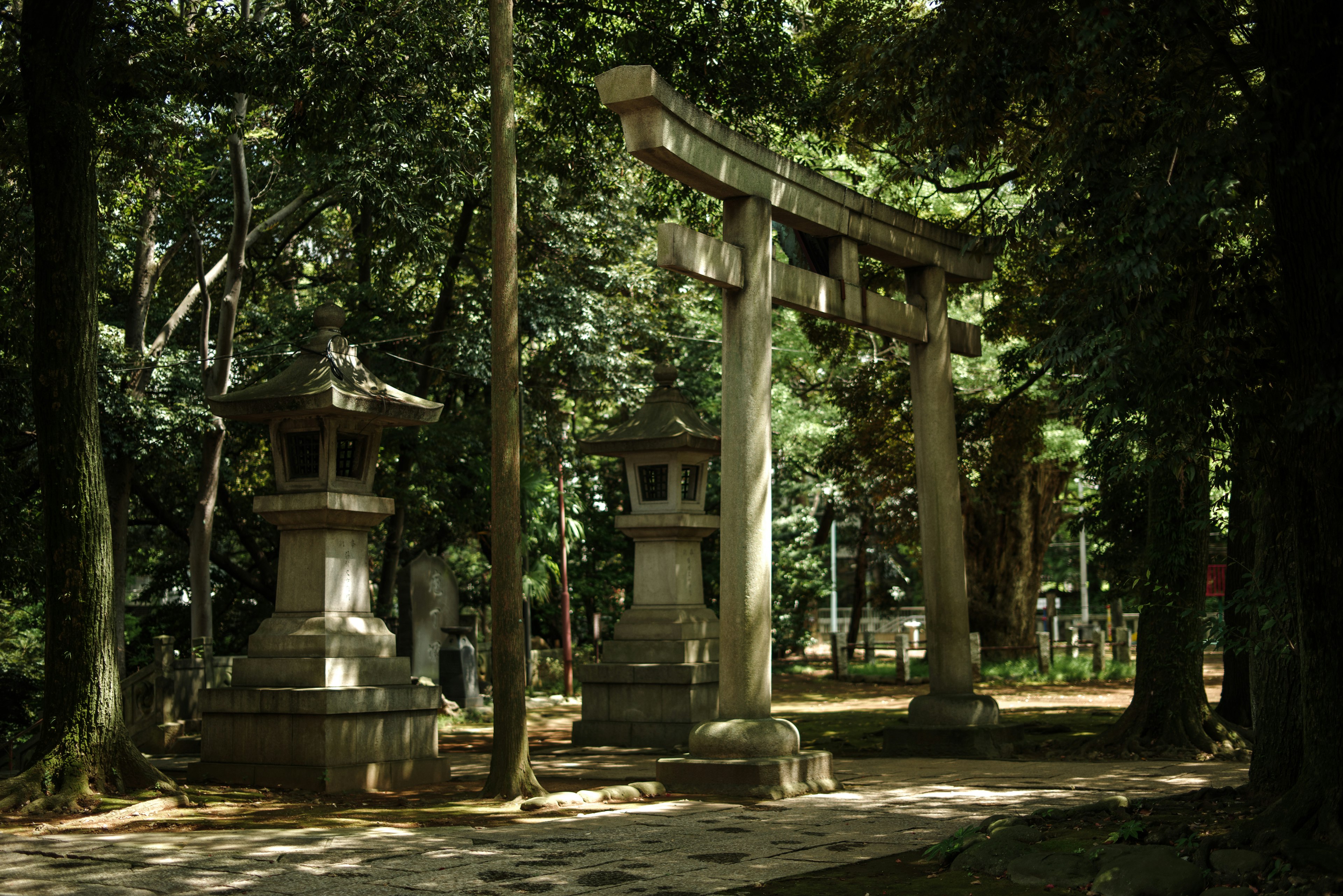 Una vista serena de un torii y faroles de piedra en un bosque