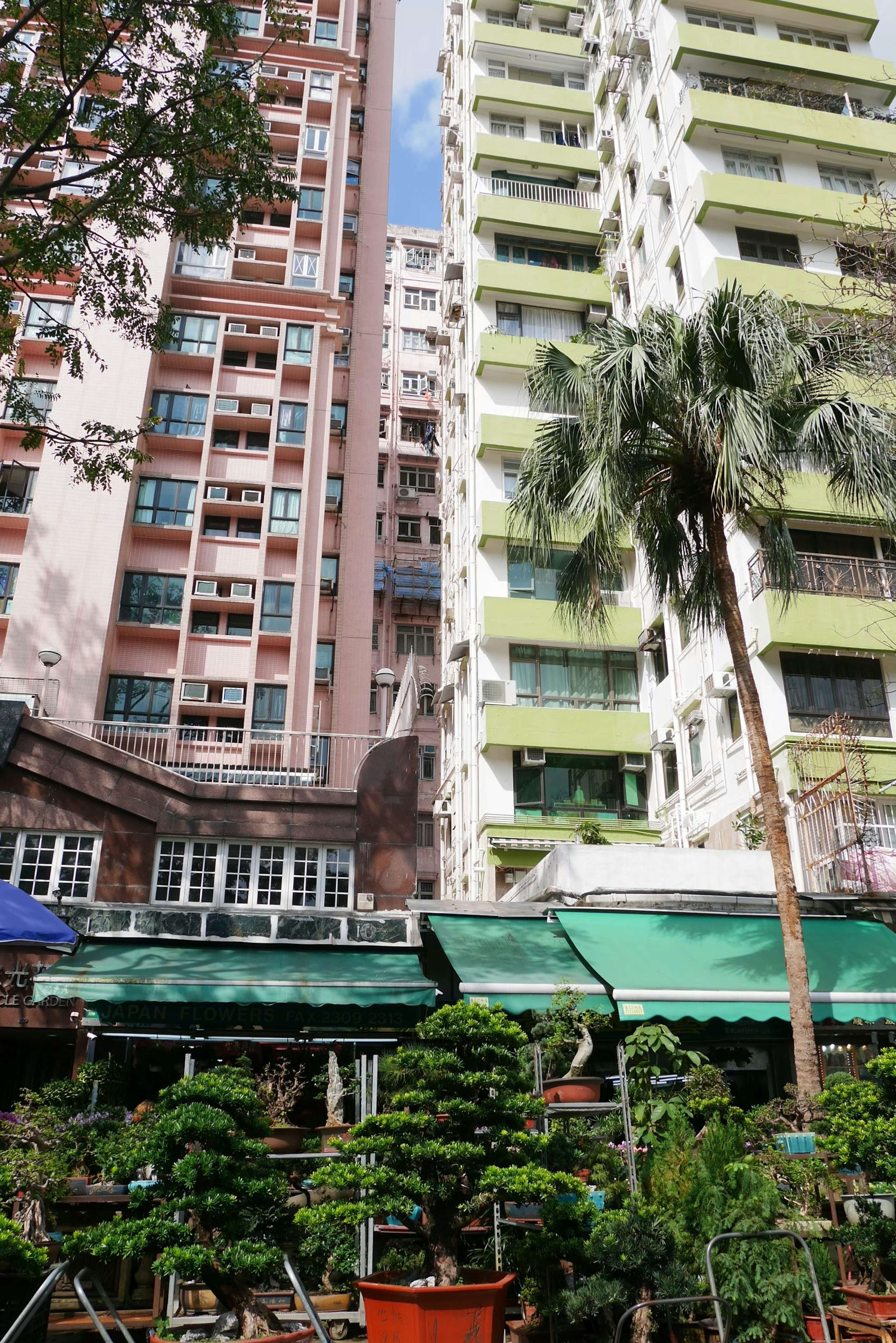 Scène urbaine avec de grands bâtiments et de la verdure