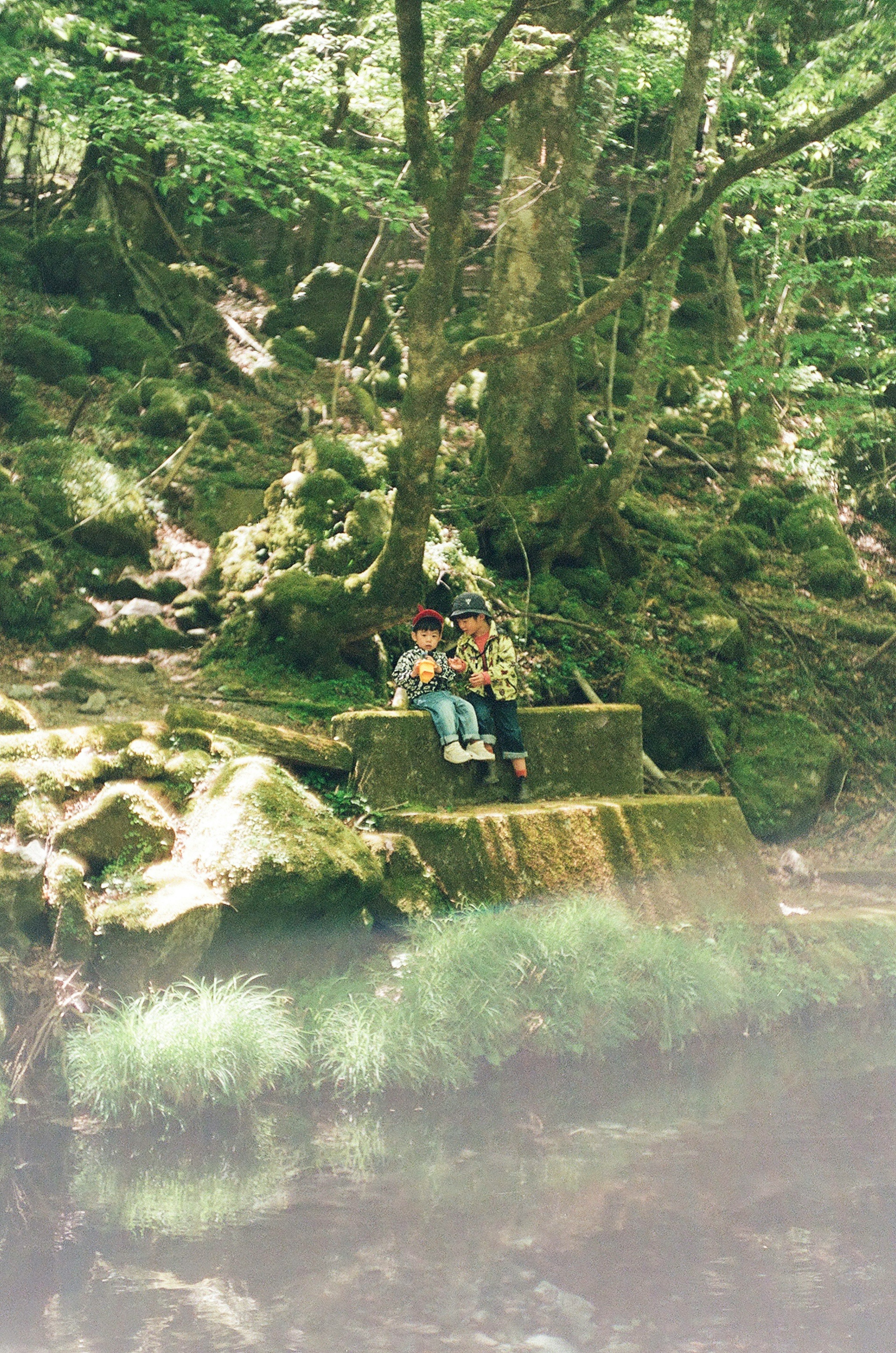 photo-NjmXRn3TJJDNTOKRPLyM-image