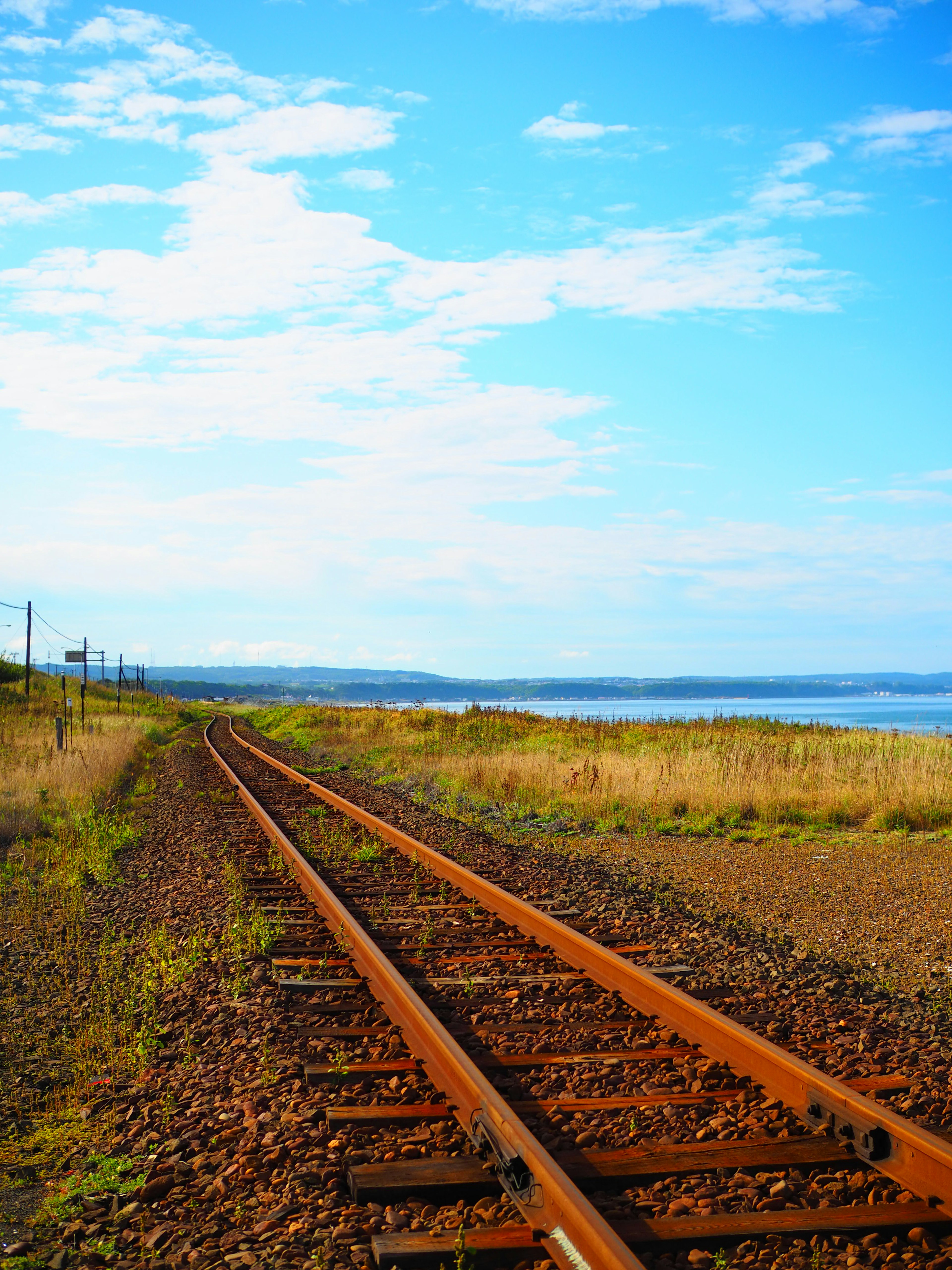 Piste de train pittoresque courbant à travers les prairies sous un ciel bleu