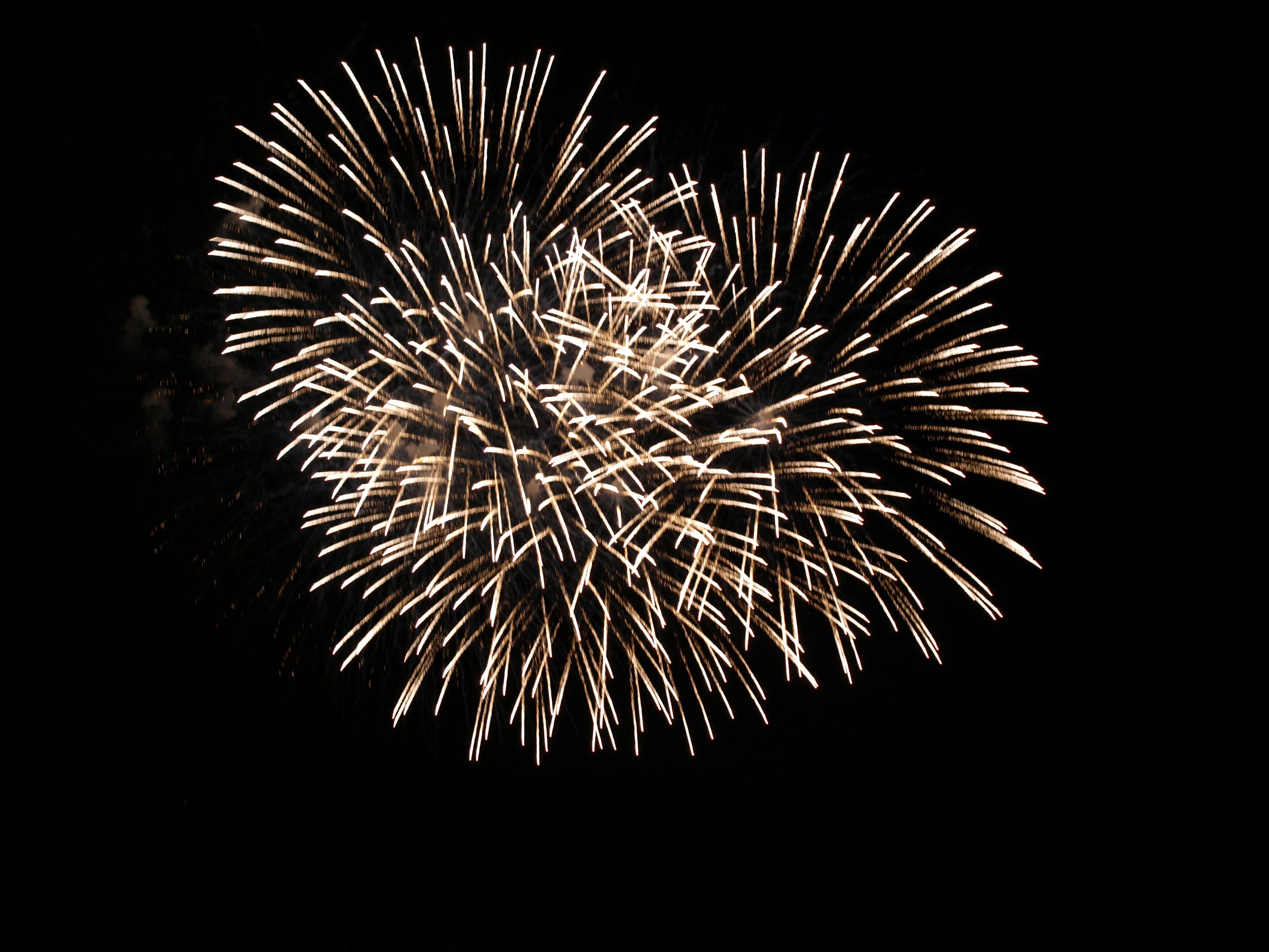 Un'esibizione di fuochi d'artificio bianchi che esplodono su uno sfondo nero