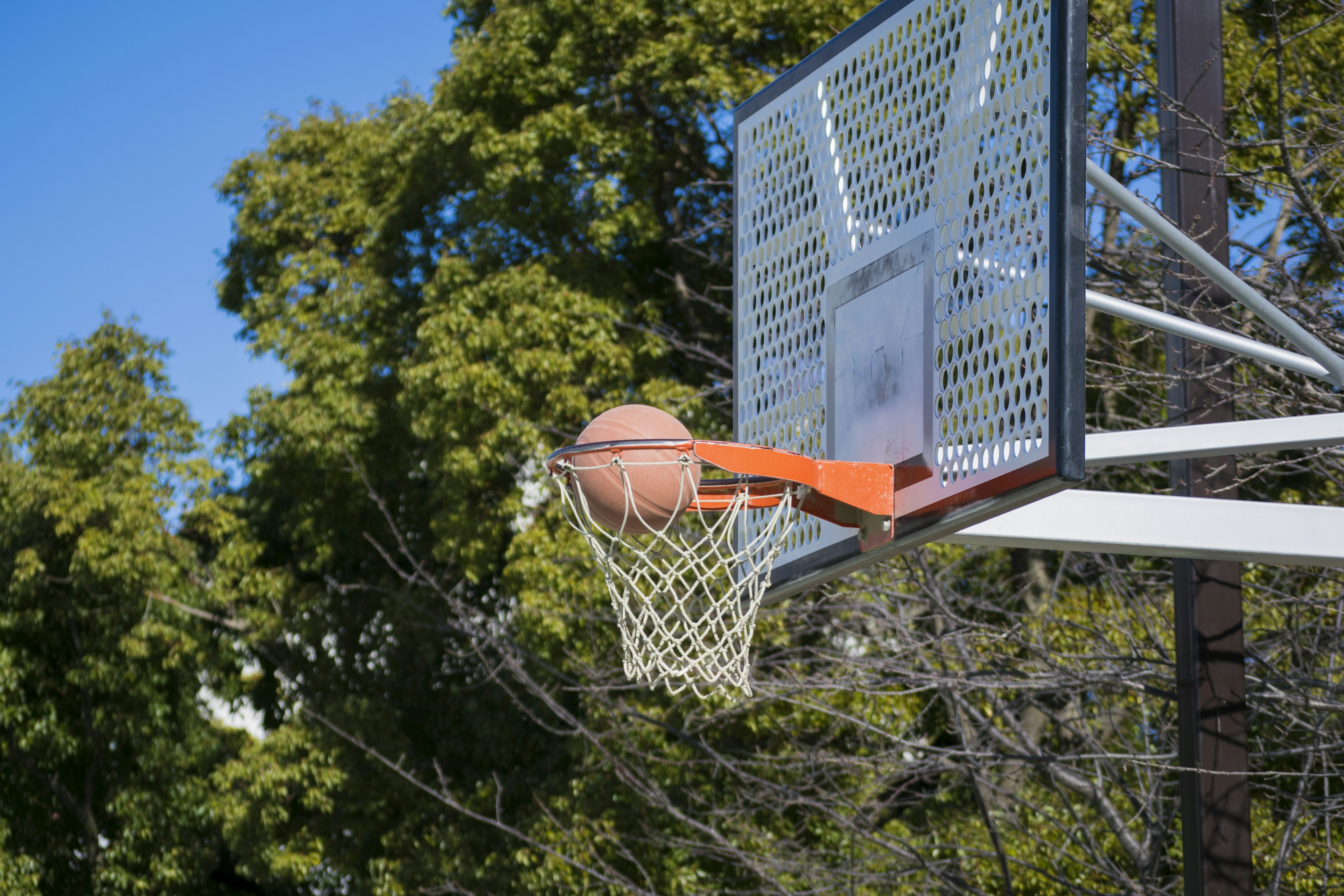 Bola basket melewati ring dengan langit biru cerah dan pohon hijau di latar belakang