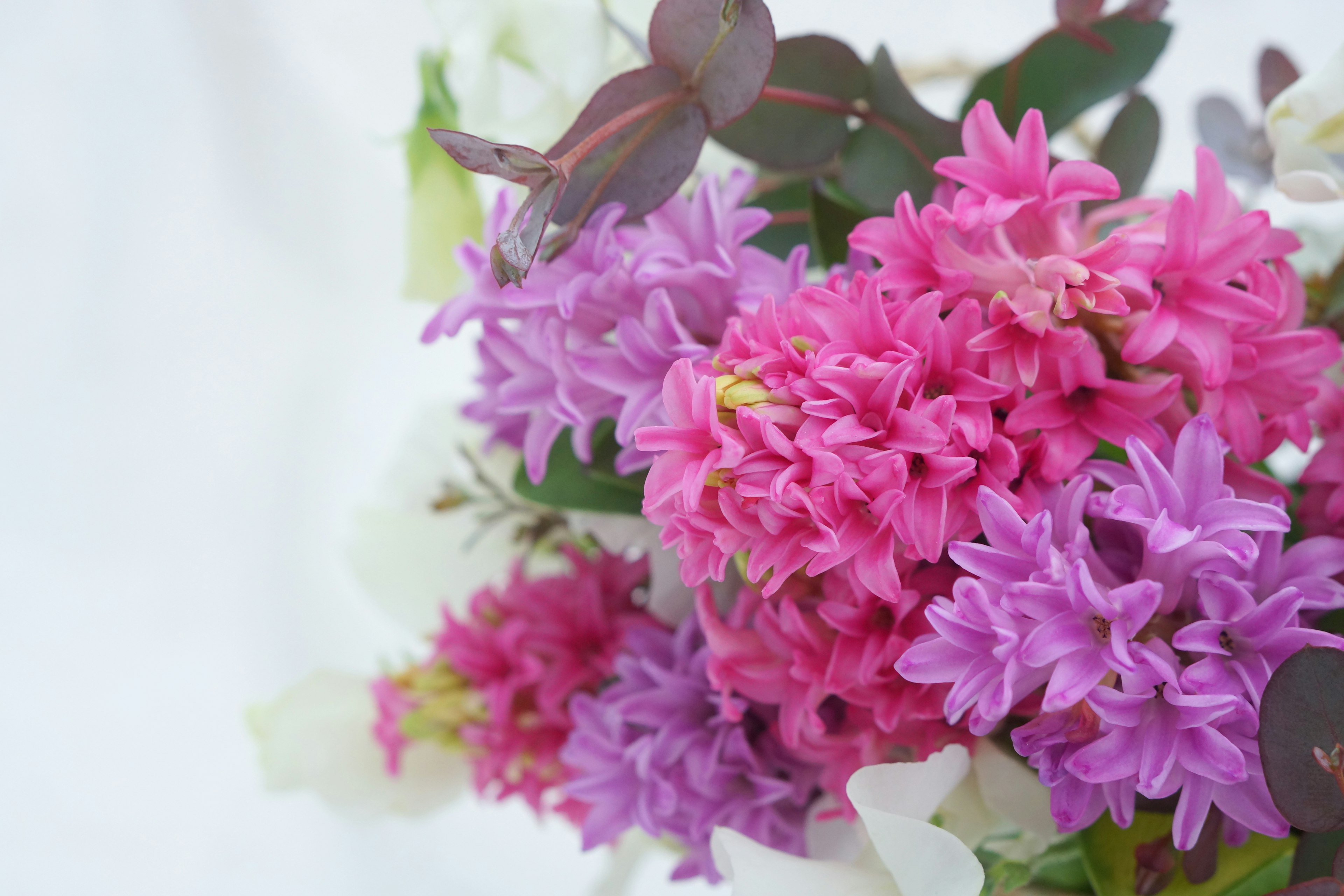 色とりどりのヒヤシンスの花束と緑の葉