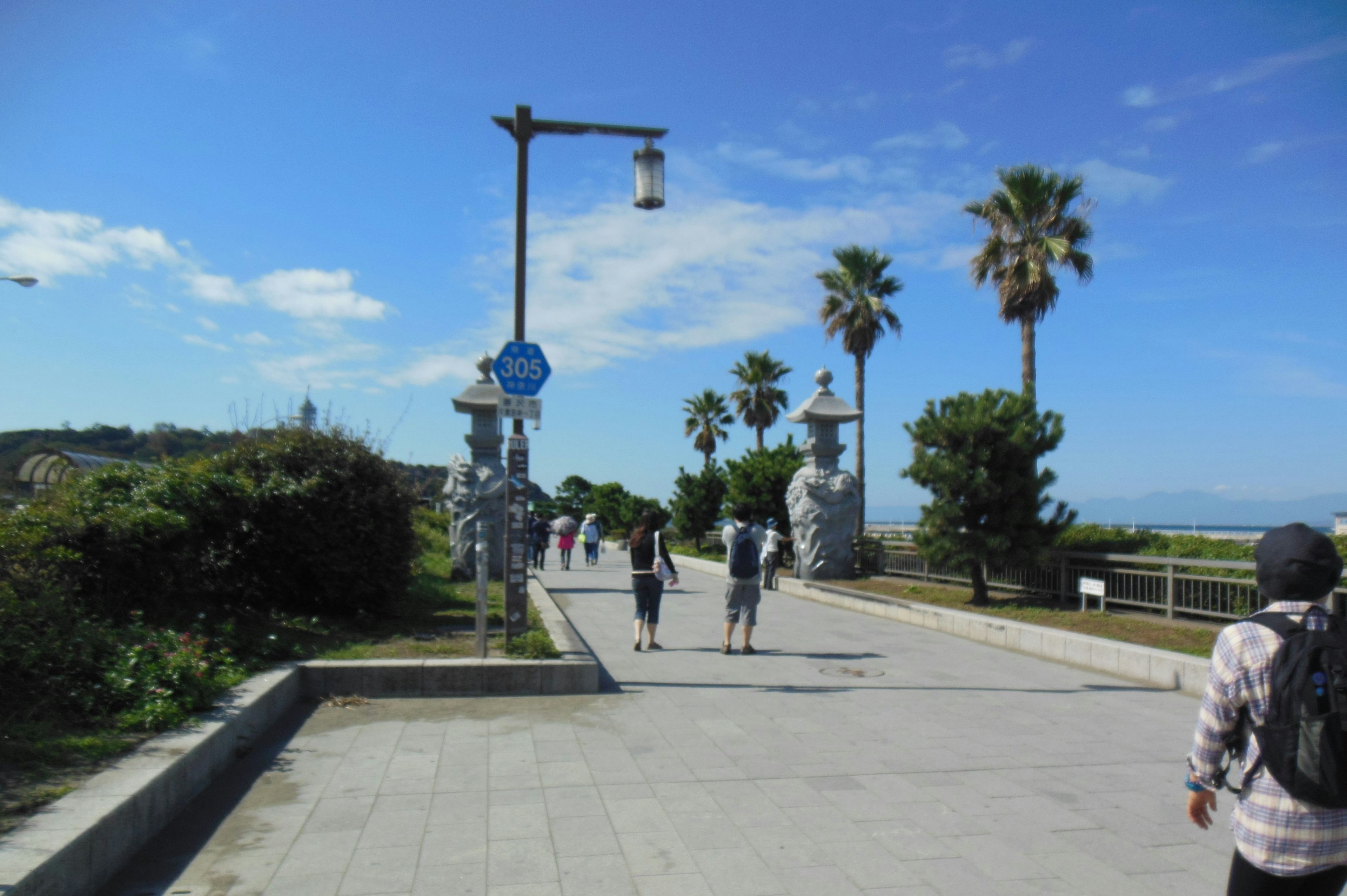 Menschen, die auf einer Promenade mit Palmen und blauem Himmel gehen