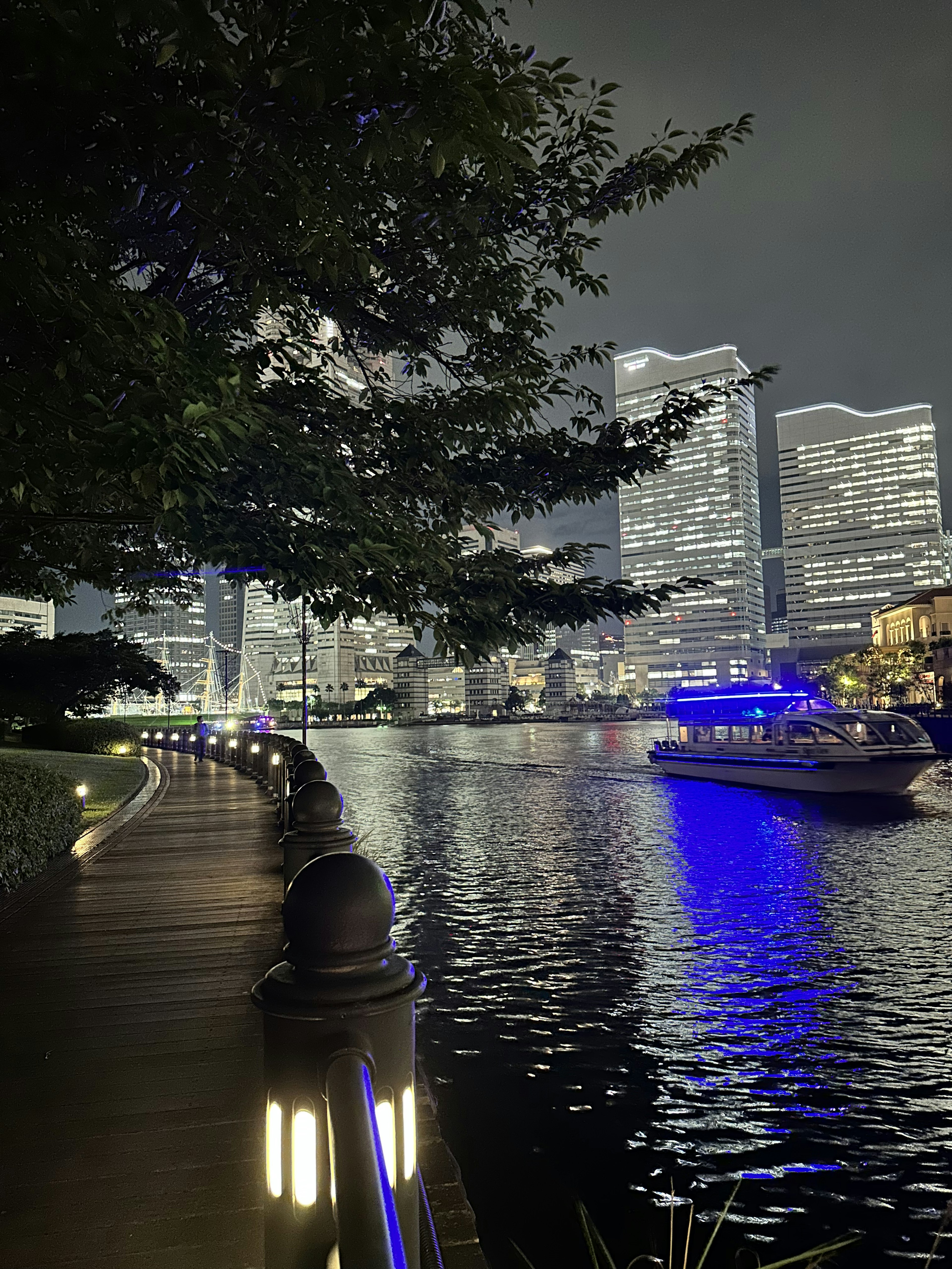 夜の川沿いの道と近代的なビル群の景観