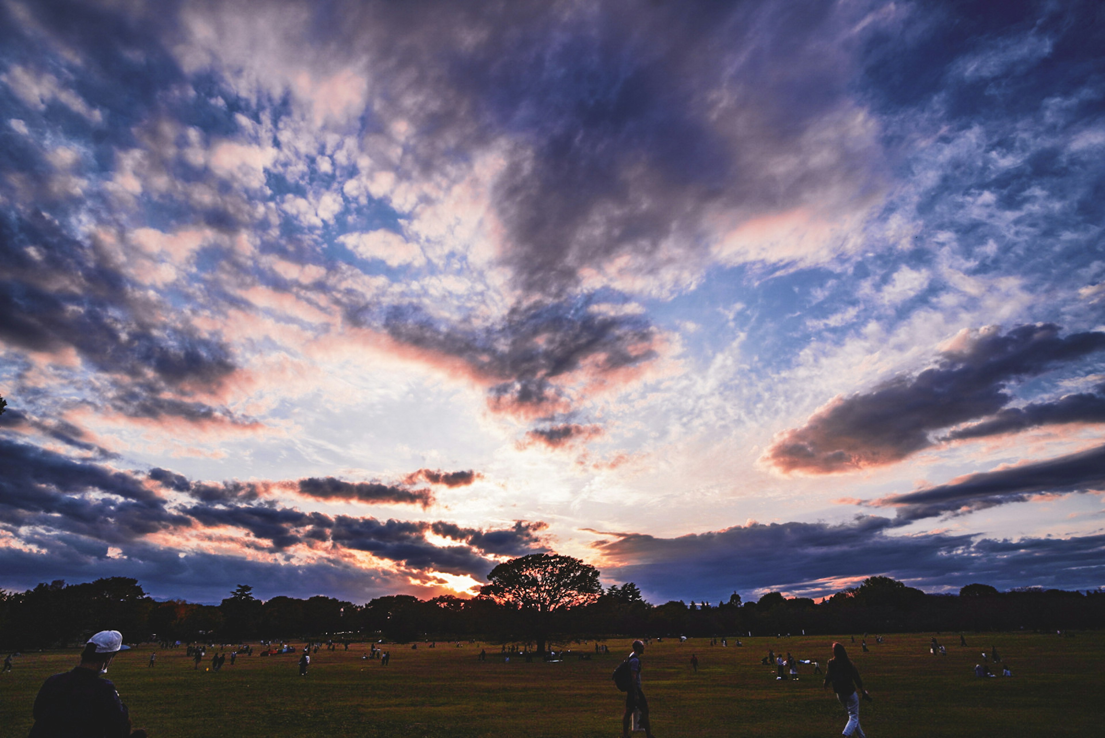 広い公園の夕暮れ時の空に広がる美しい雲と色彩