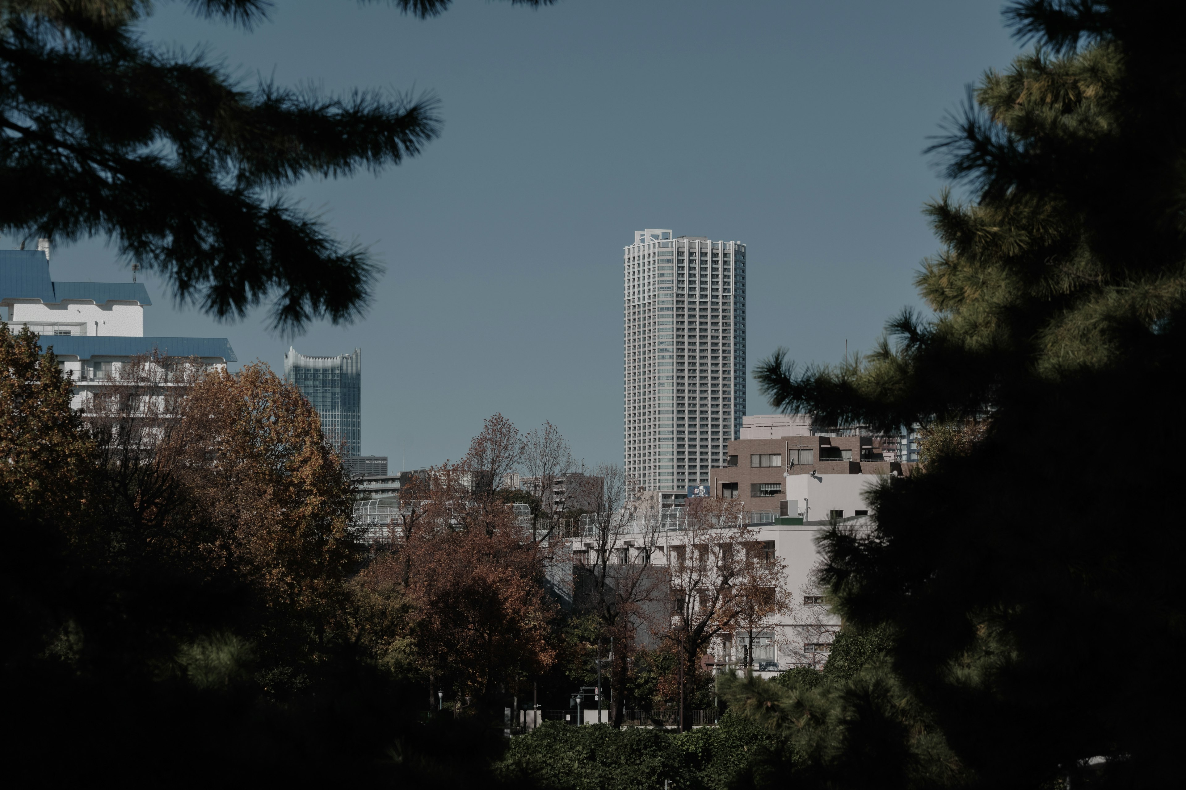 Paisaje urbano con un rascacielos y vegetación en primer plano