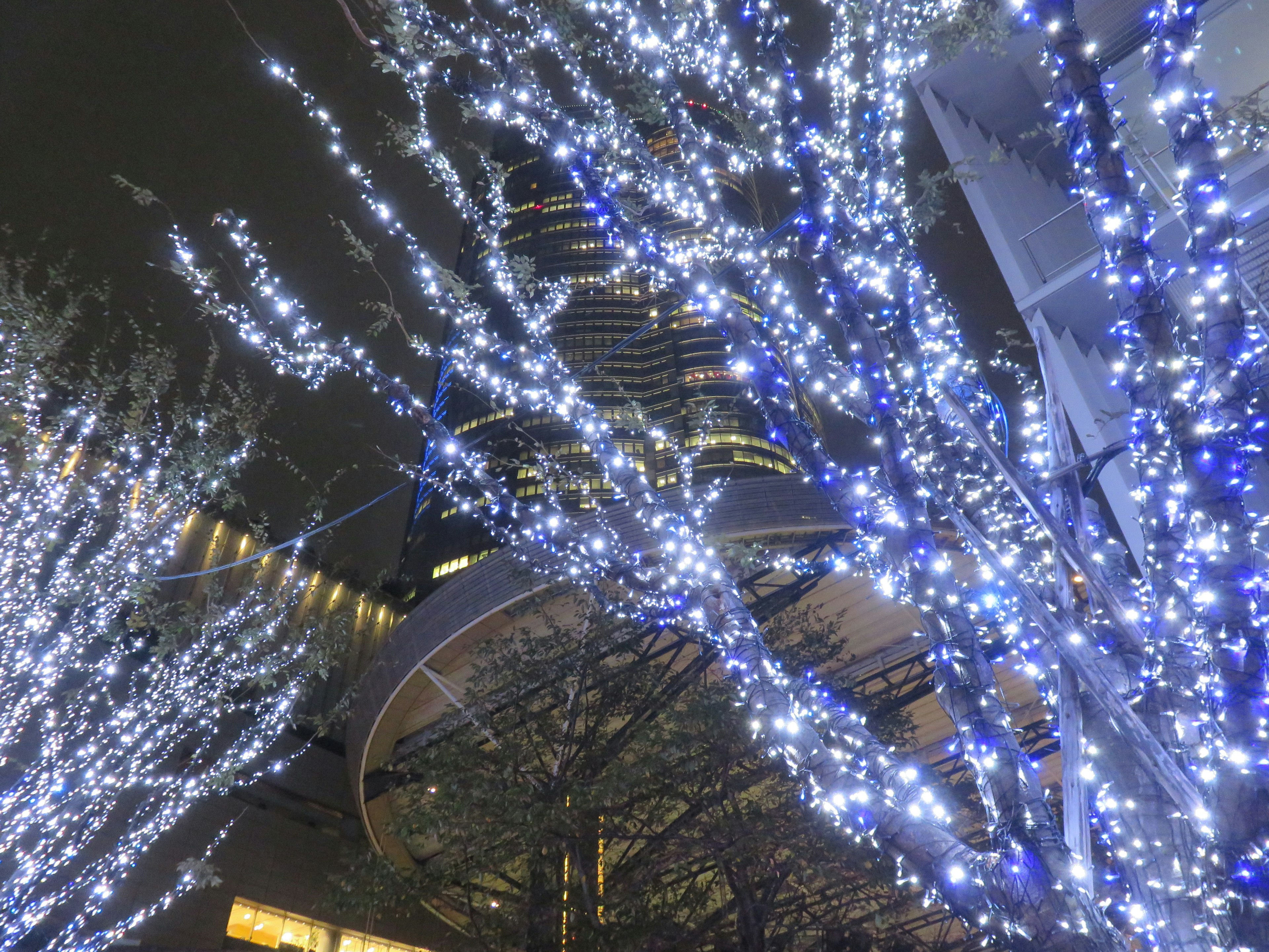 Trees adorned with blue lights at night with a skyscraper in the background