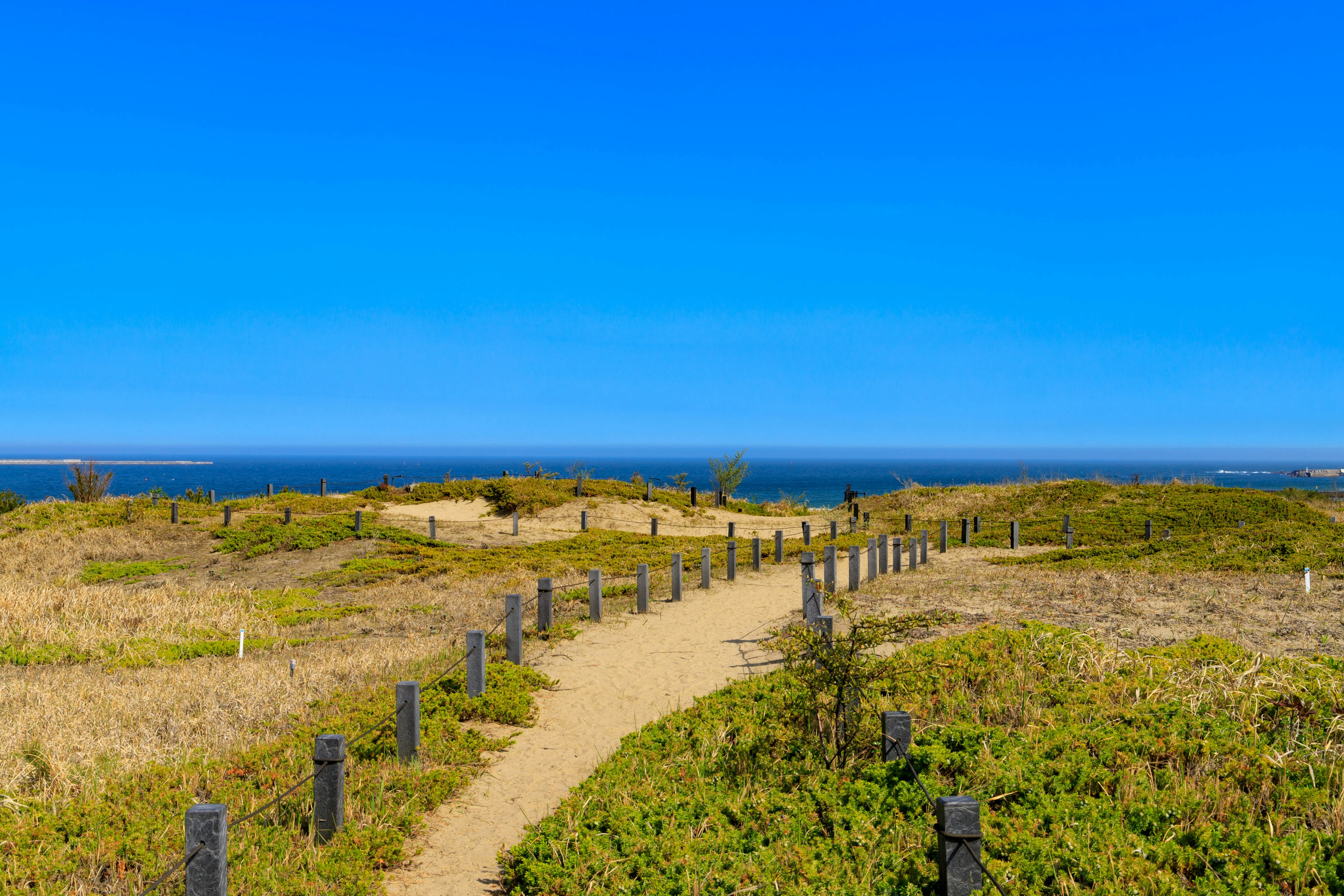 Scenic pathway leading through grasslands with blue sky and ocean in the background