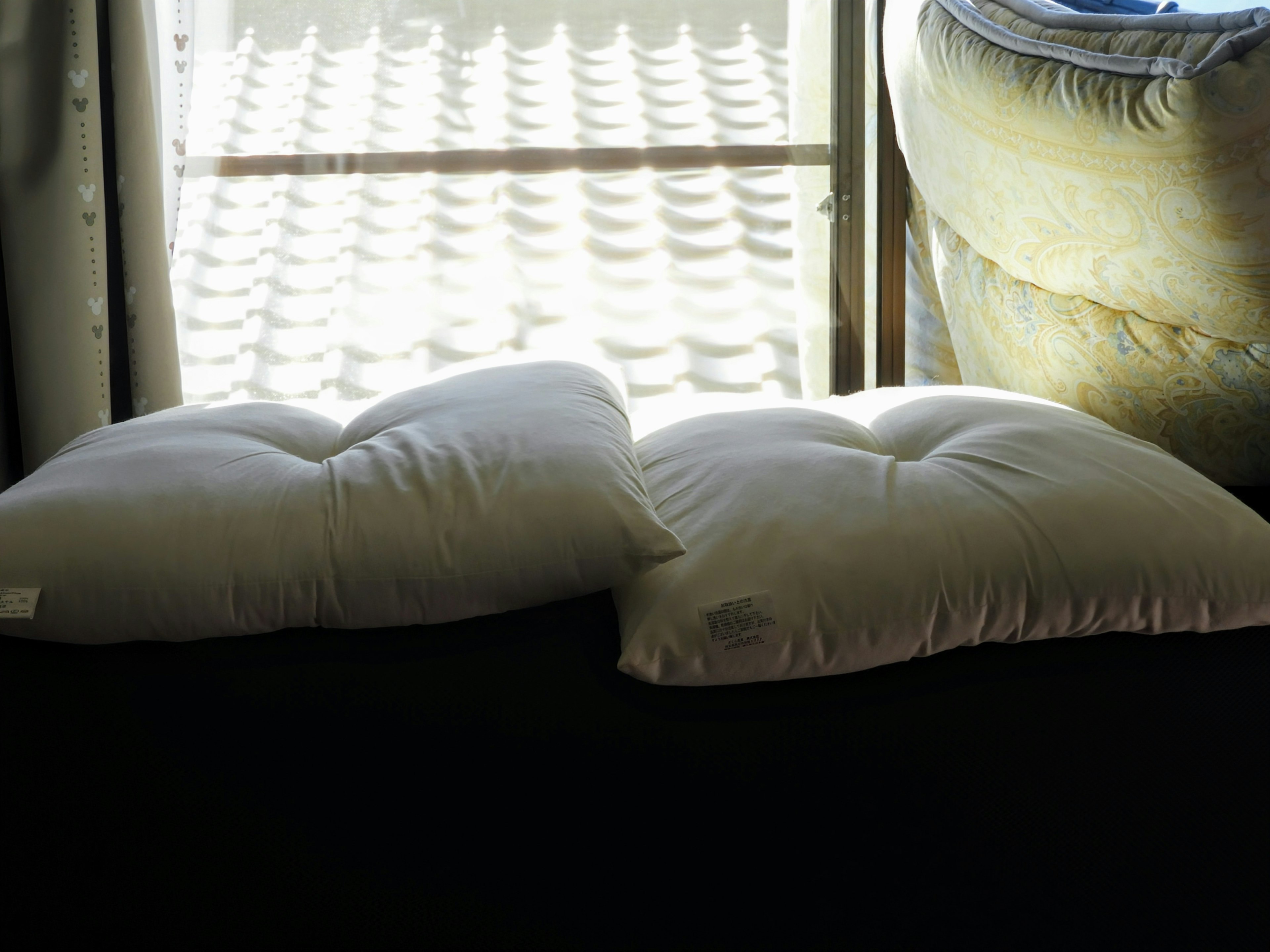 Two white cushions placed near a window