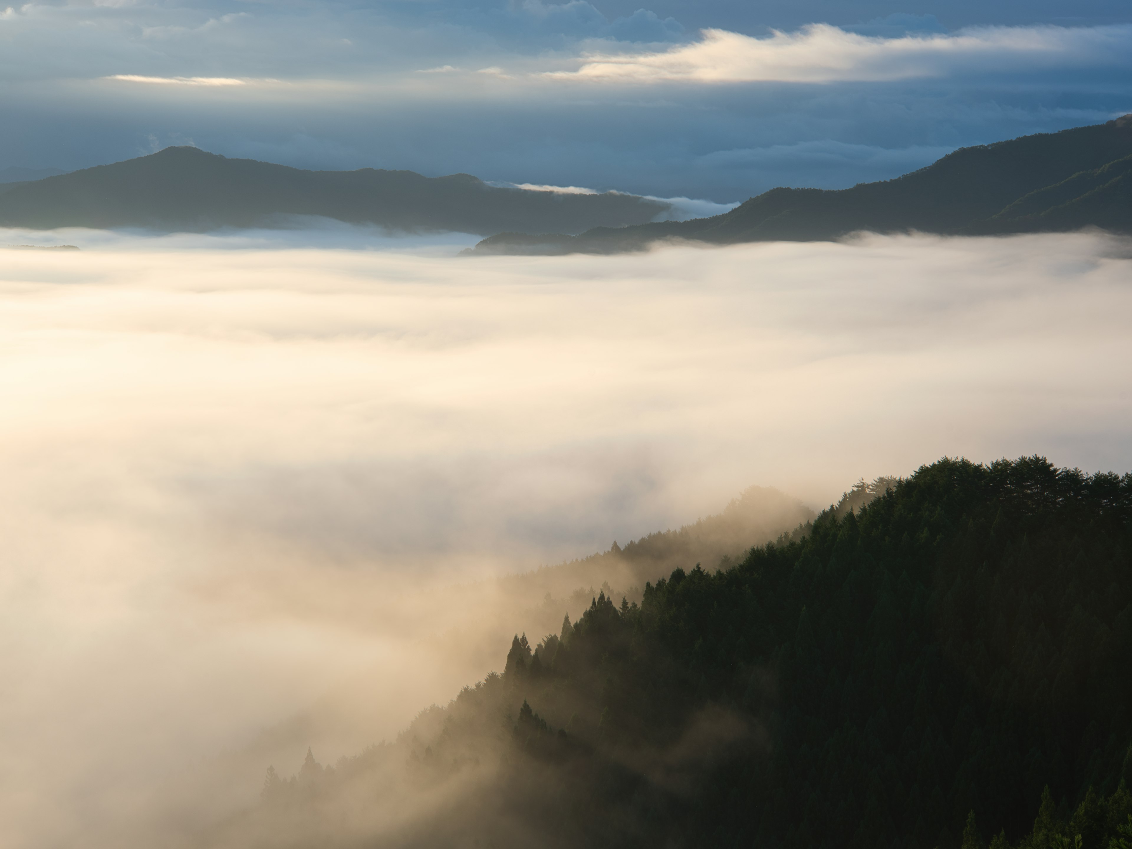 Bellissimo paesaggio di montagne avvolte nella nebbia