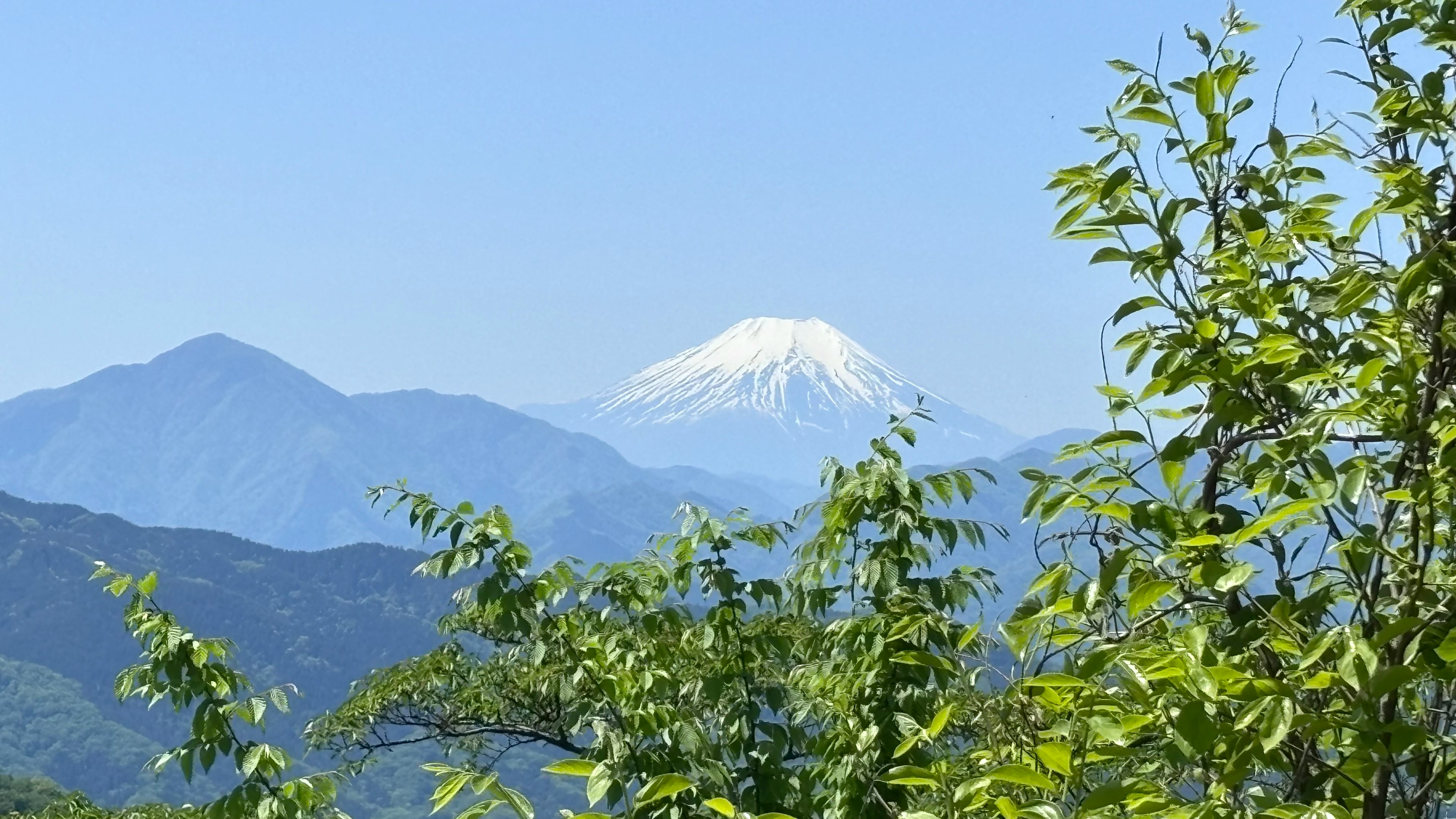 青空の下にそびえる雪をかぶった山と緑の木々