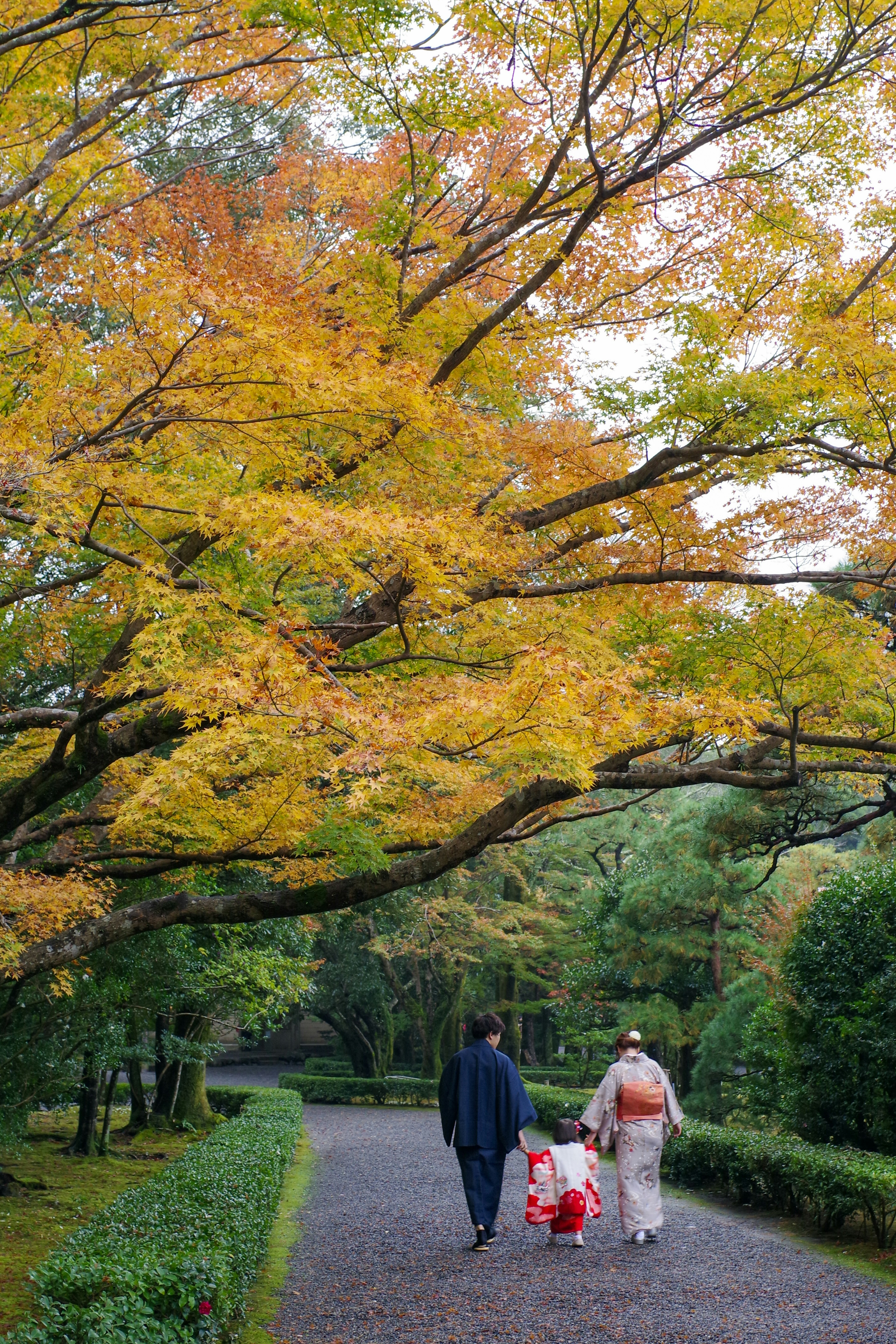 Due persone che camminano sotto un fogliame autunnale vibrante con una donna in kimono rosso