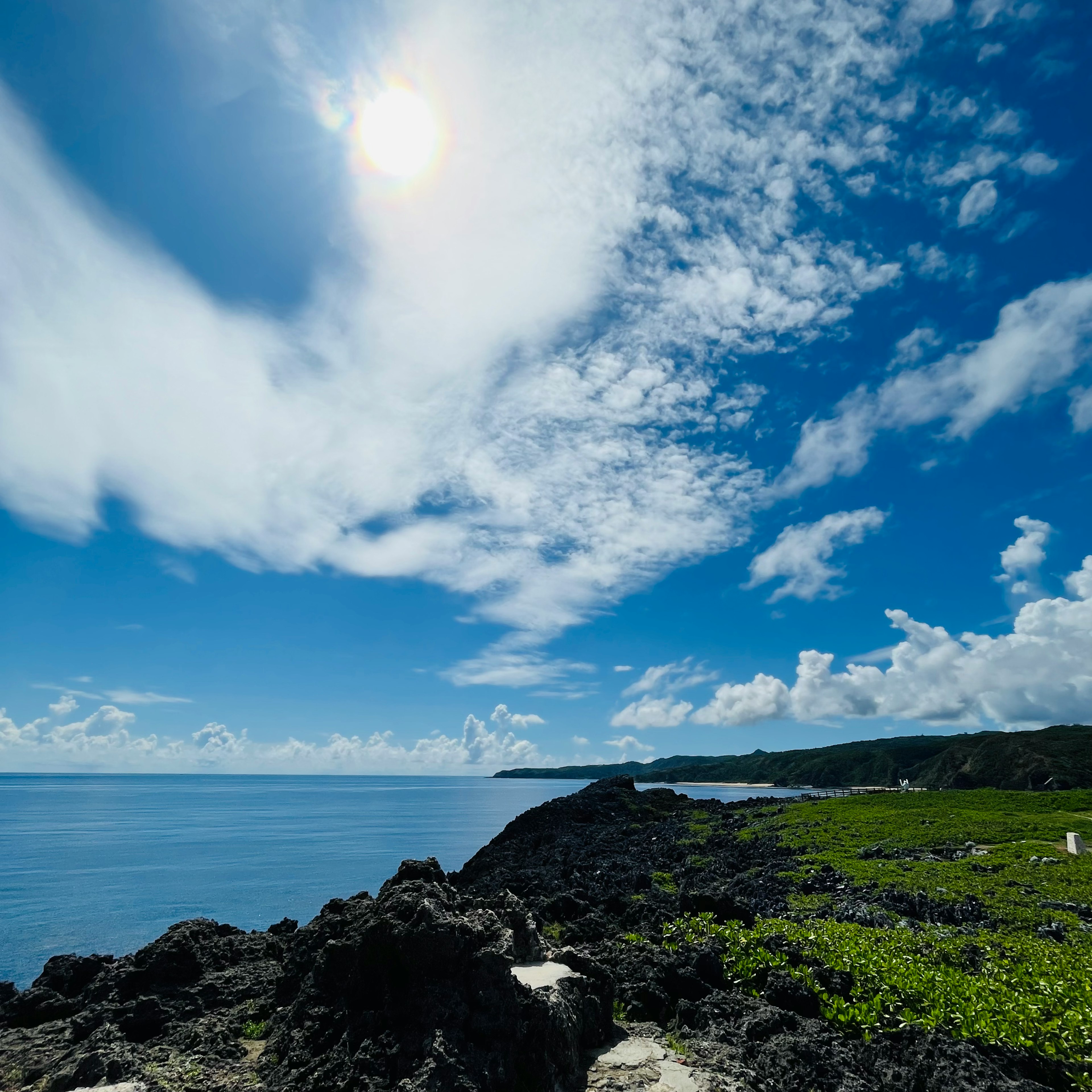 青空と雲が広がる海岸の風景 岩と緑の植物が見える