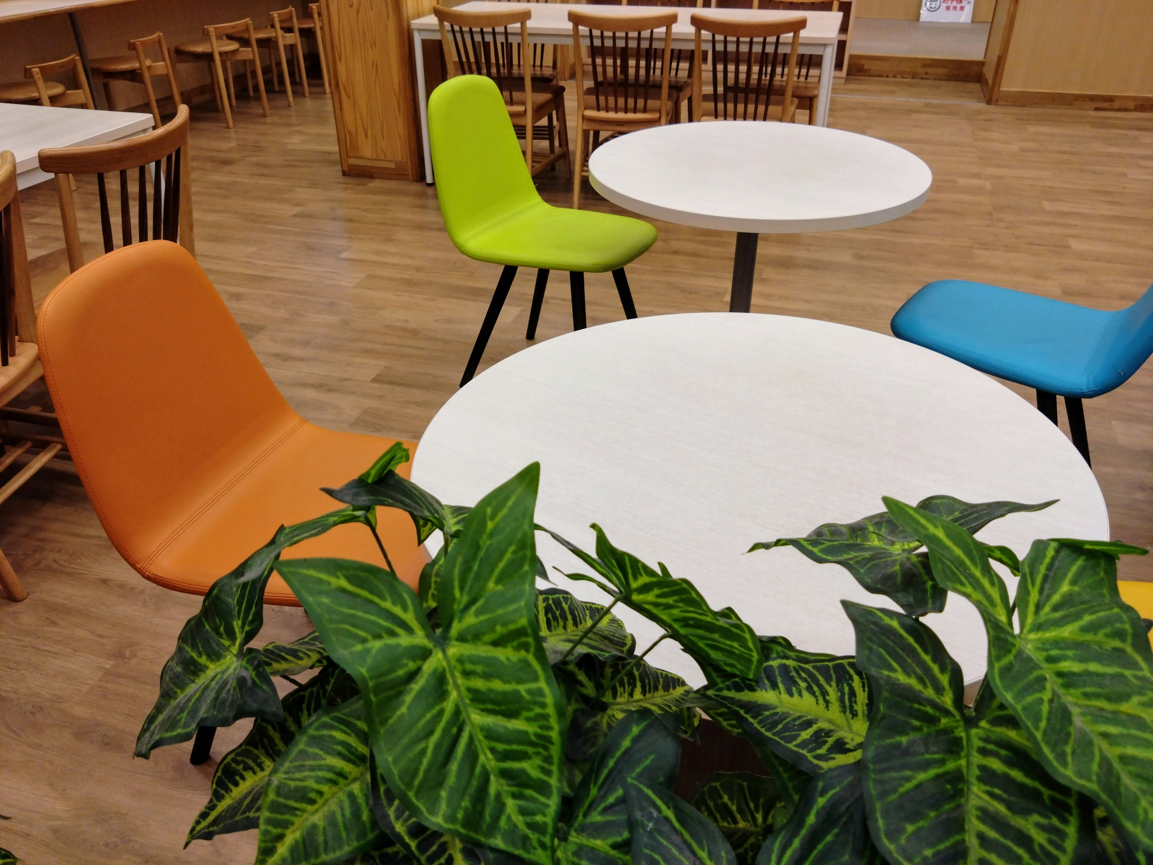 Interior of a cafe featuring colorful chairs and a white table surrounded by green plants