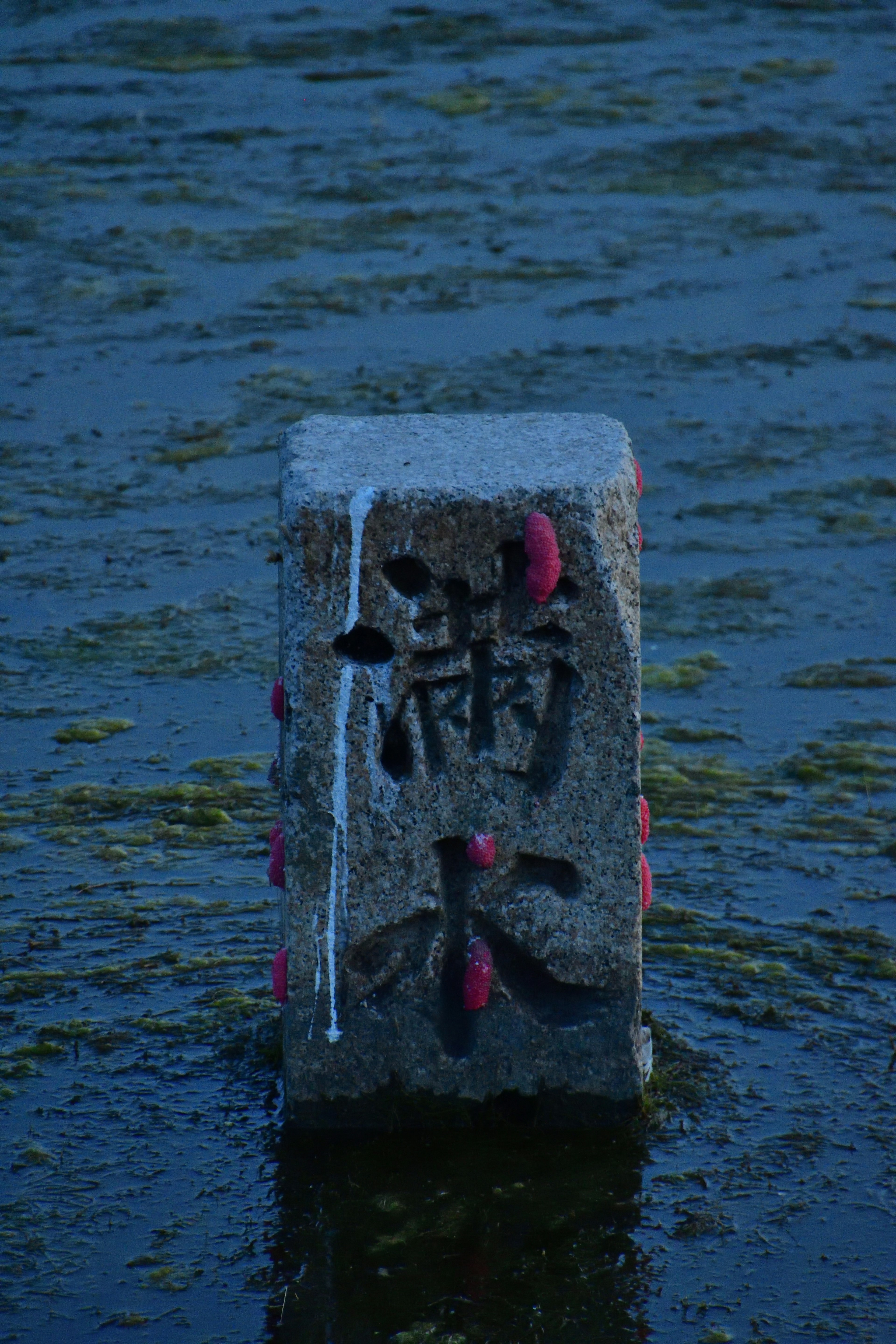 Stone marker standing in water with Chinese characters and red patterns