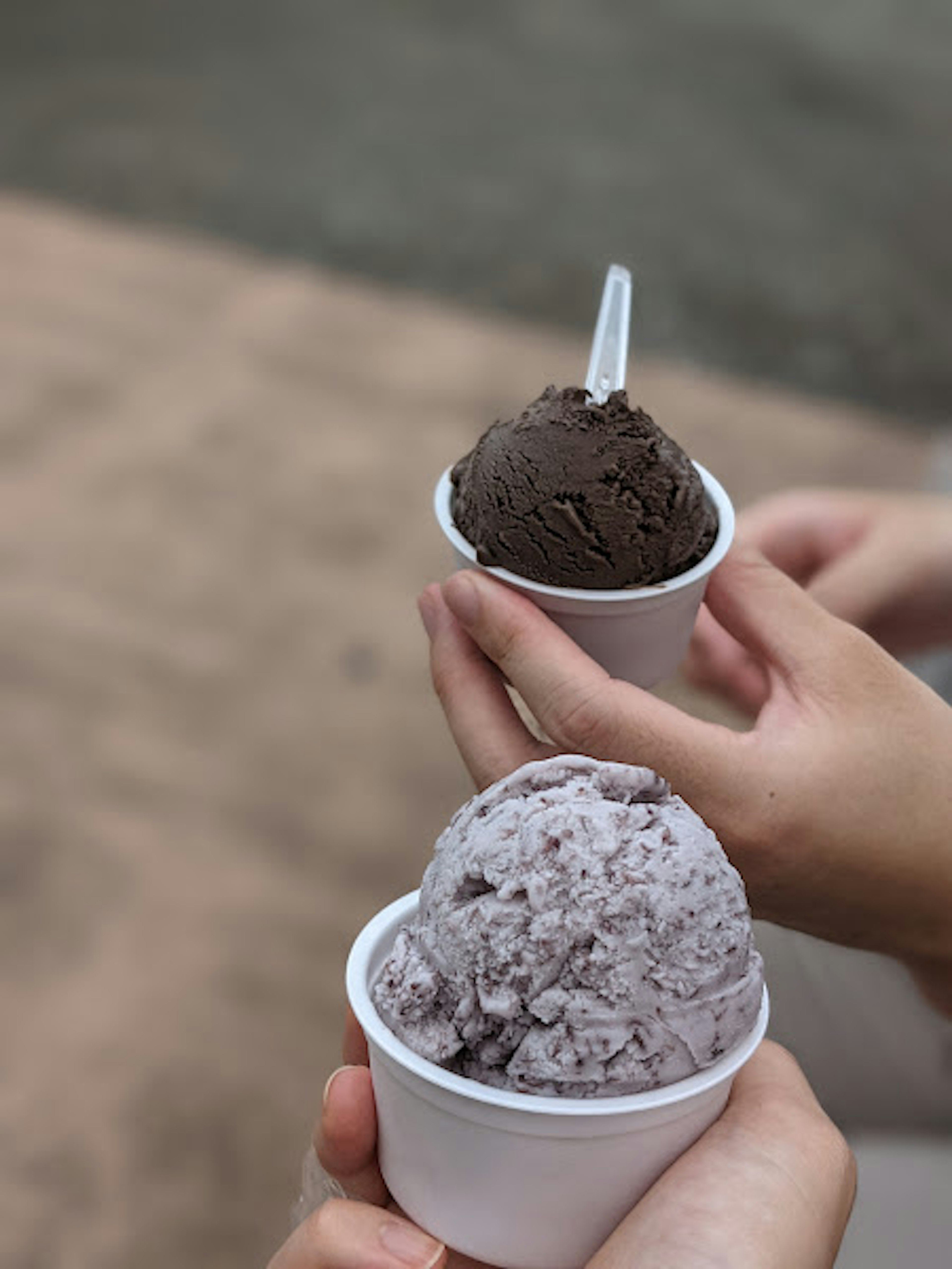 두 개의 아이스크림 컵을 들고 있는 손 하나는 초콜릿 맛이고 다른 하나는 보라색 맛