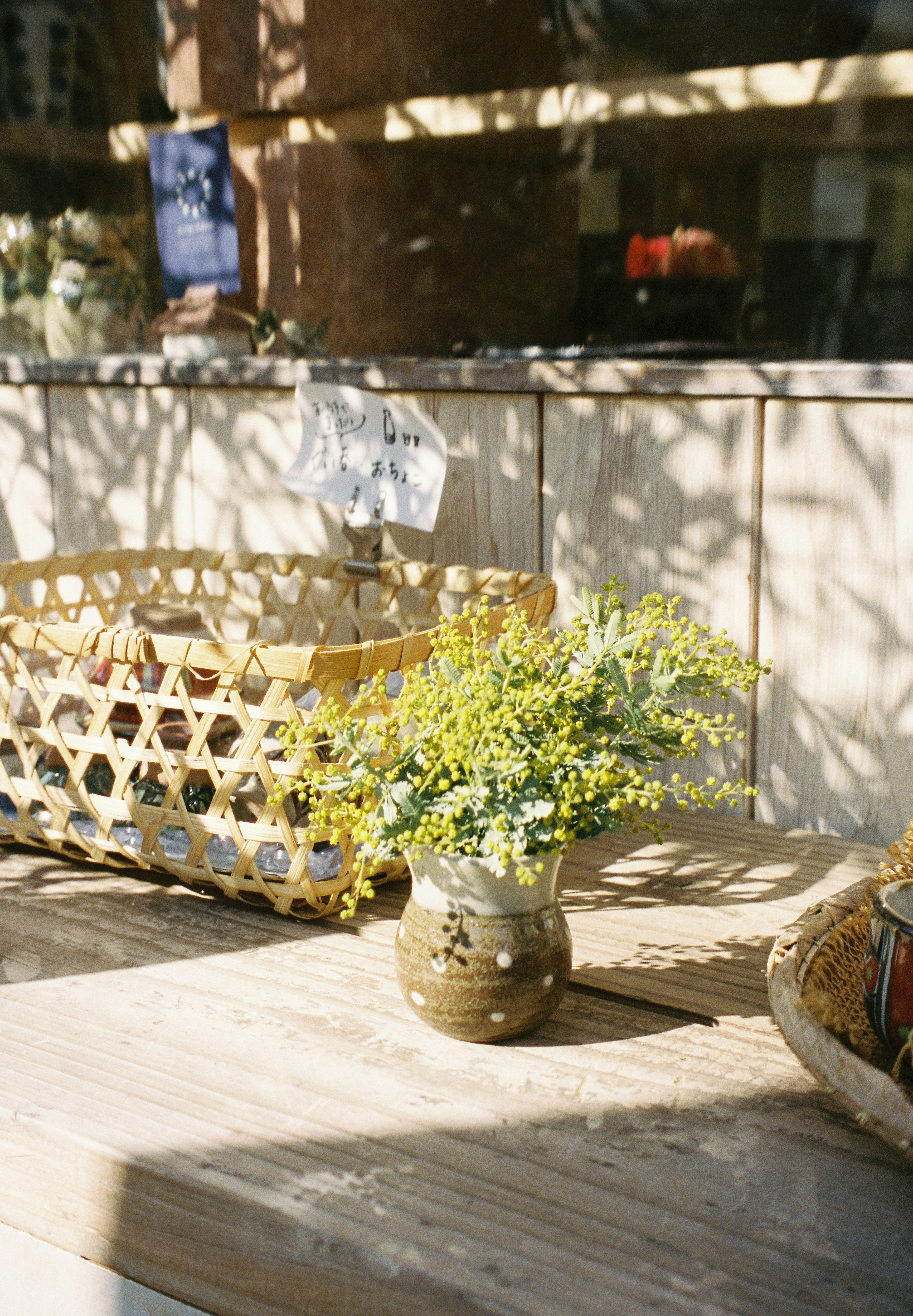 Small vase with green plant on table alongside woven basket