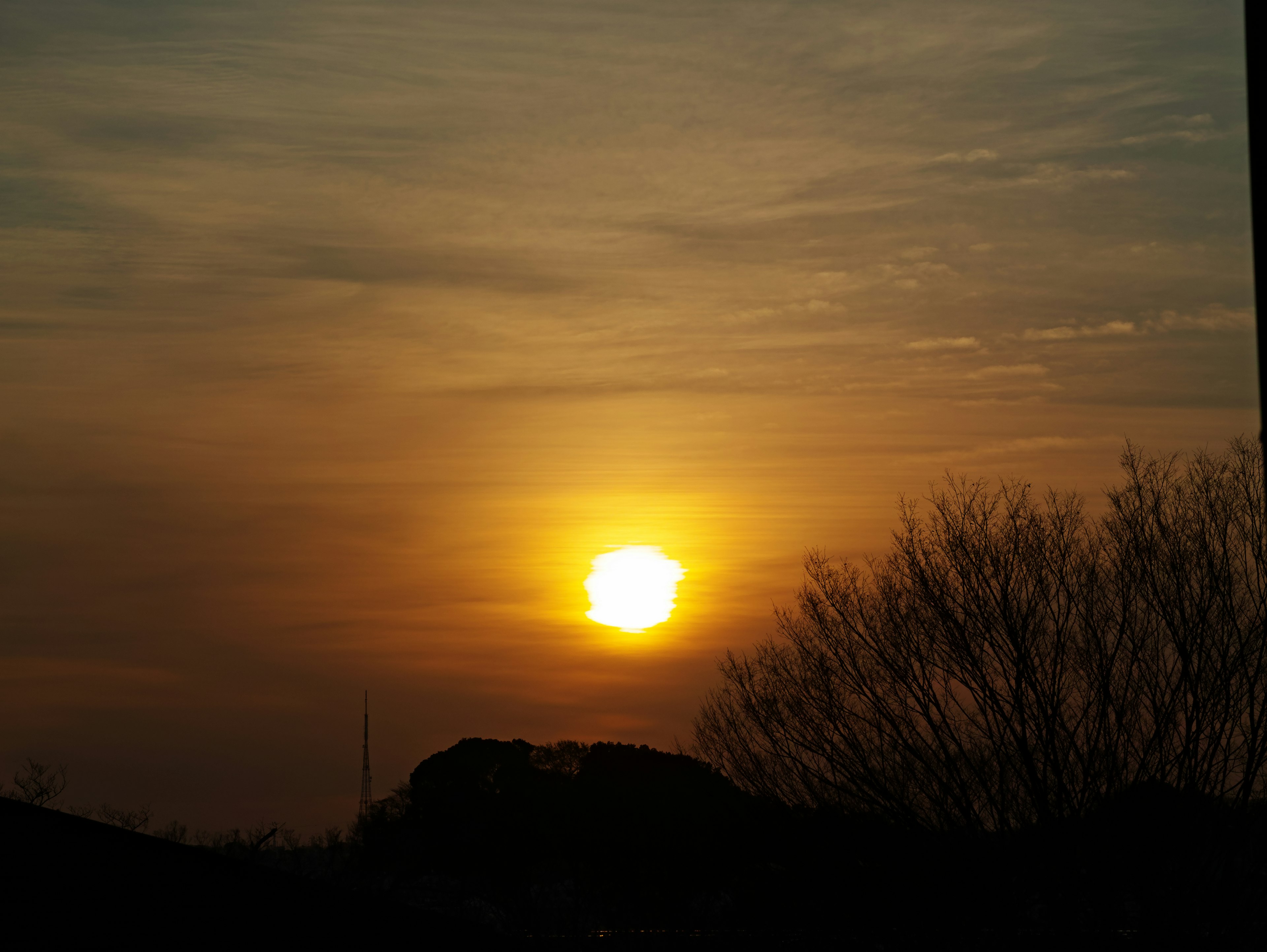 A beautiful landscape of a sunset with orange light illuminating the sky and a tree silhouette in the foreground