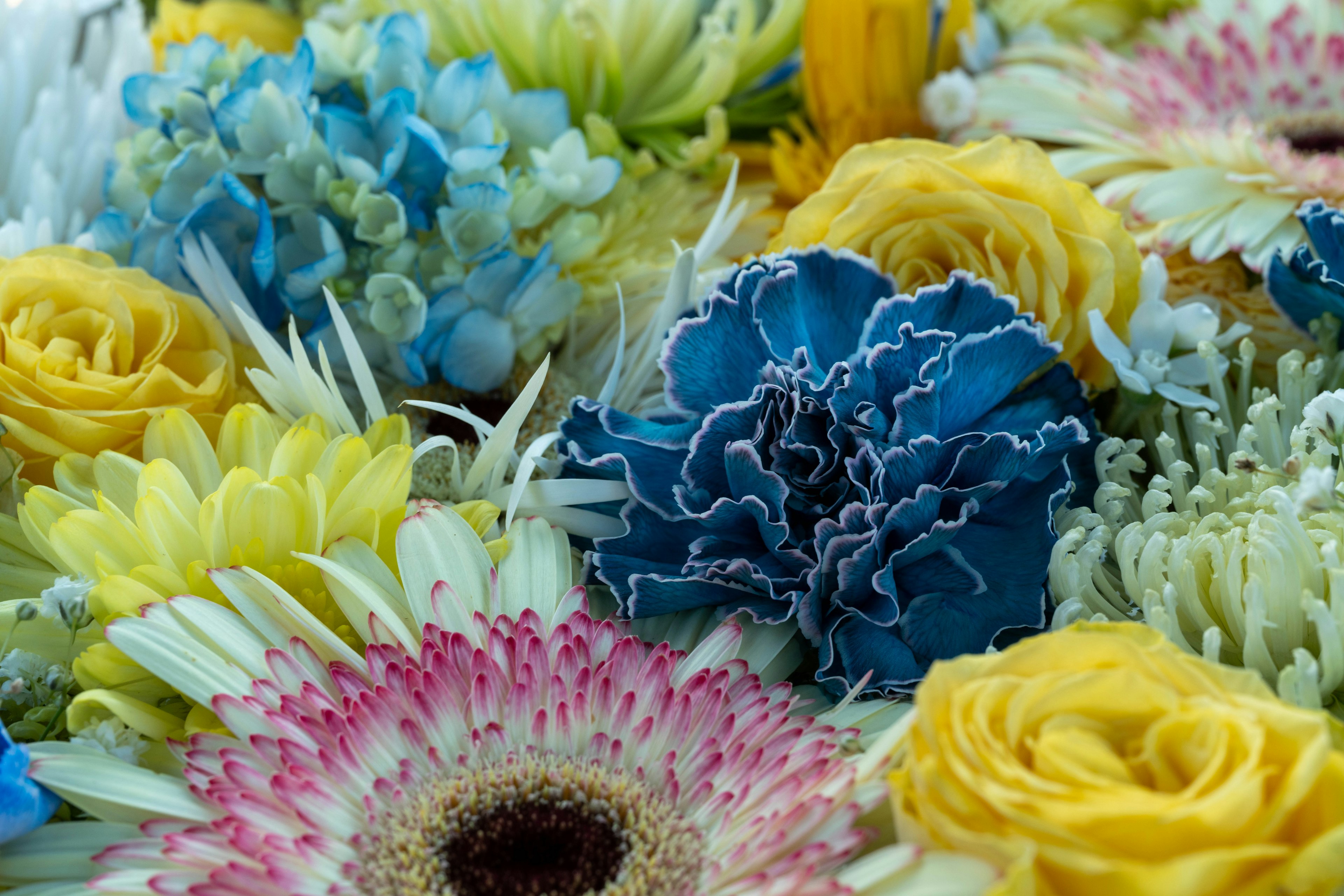 Nahaufnahme eines schönen Straußes mit bunten Blumen