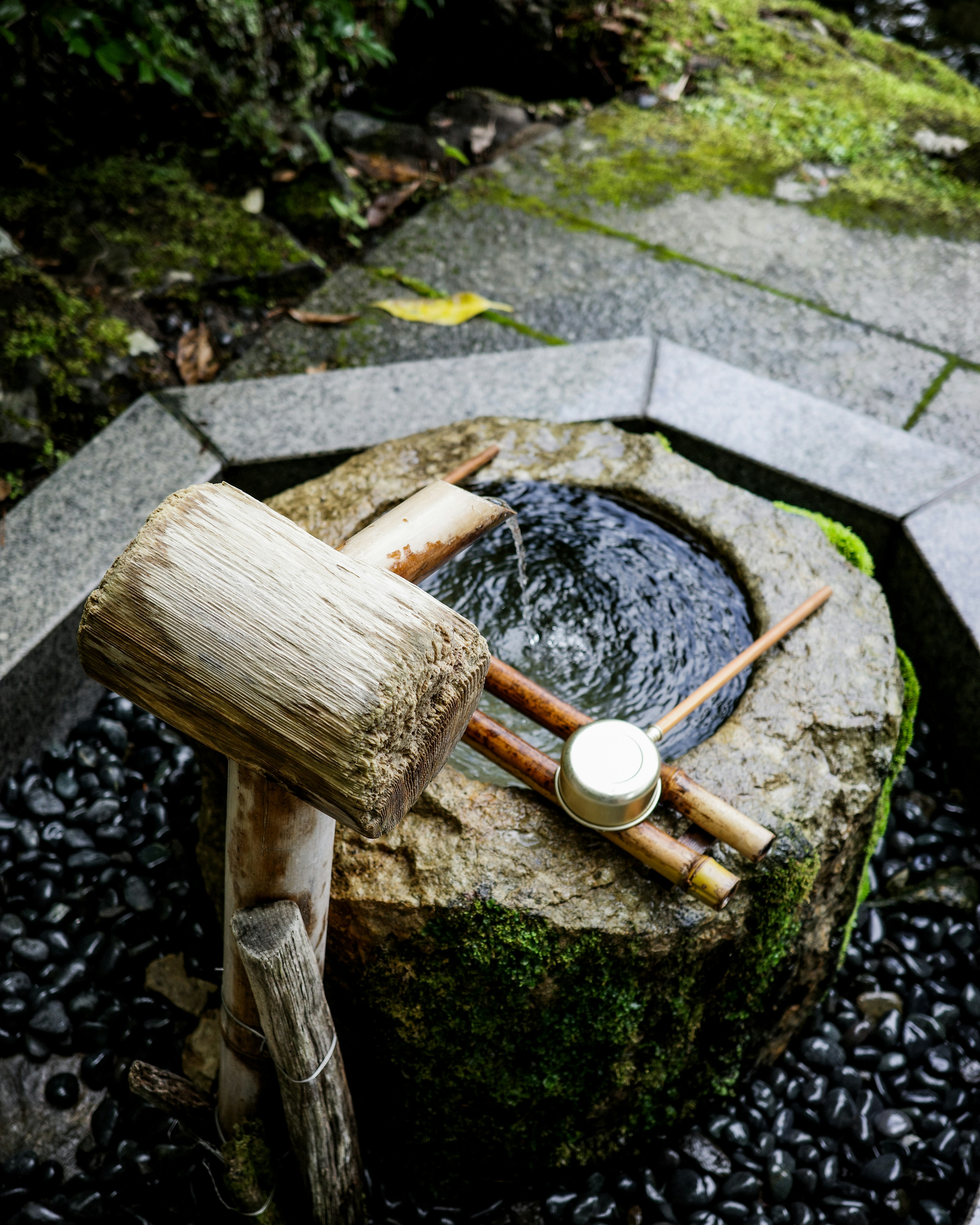 Steinbrunnen umgeben von Grün und natürlichen Elementen