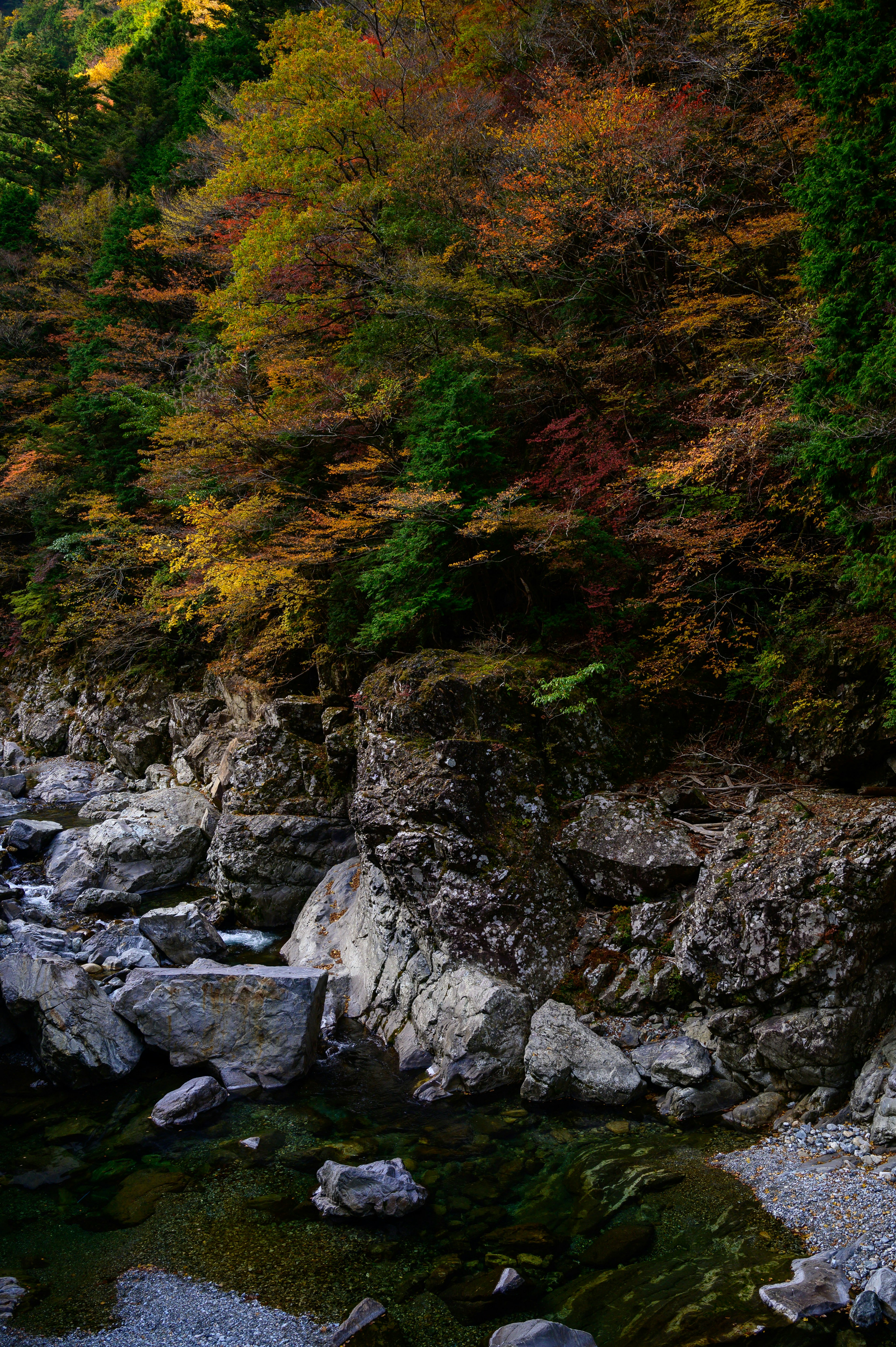 色とりどりの秋の葉が茂る山の斜面と岩の多い川の景色