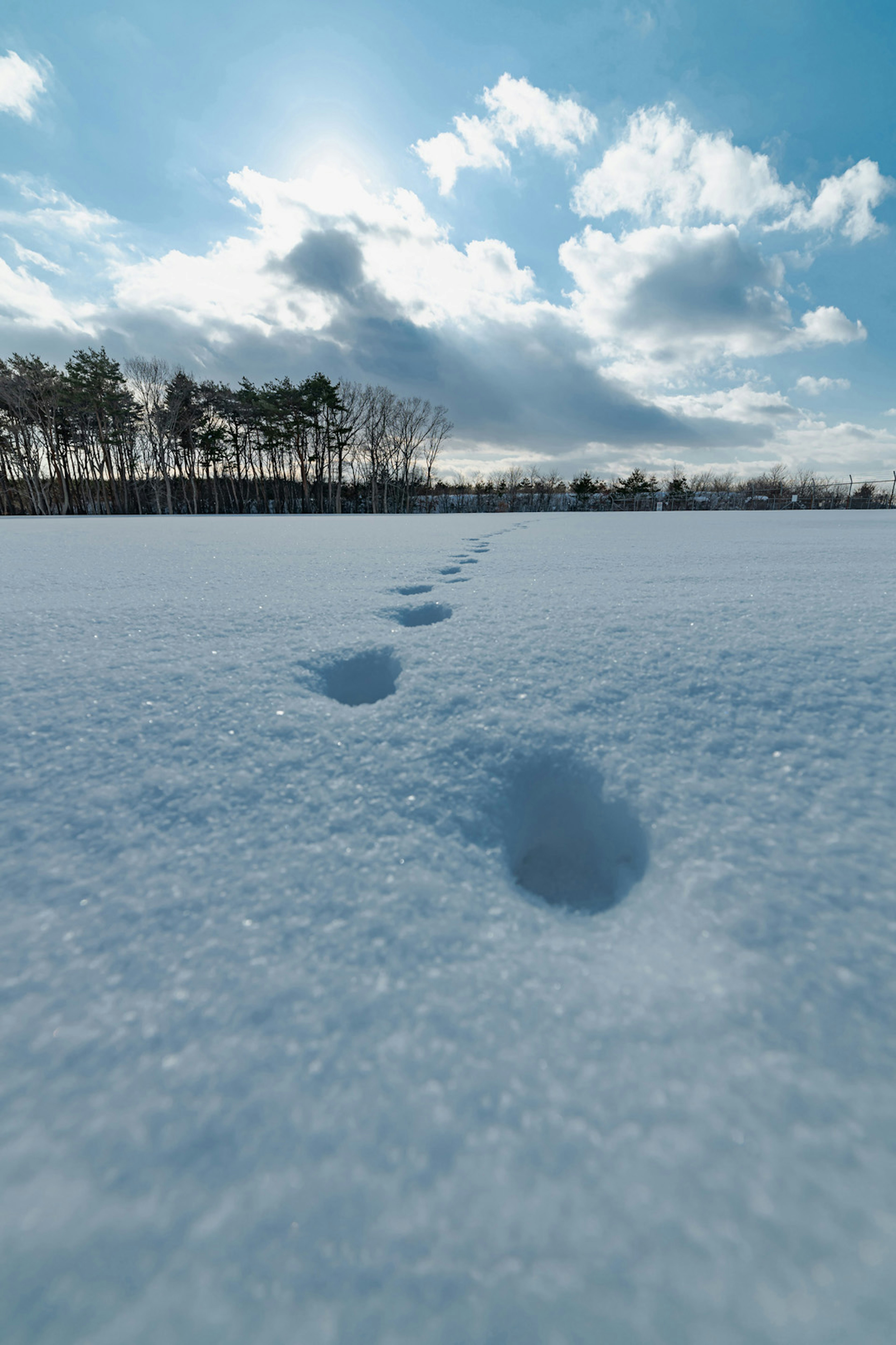 Des empreintes dans la neige sous un ciel bleu clair