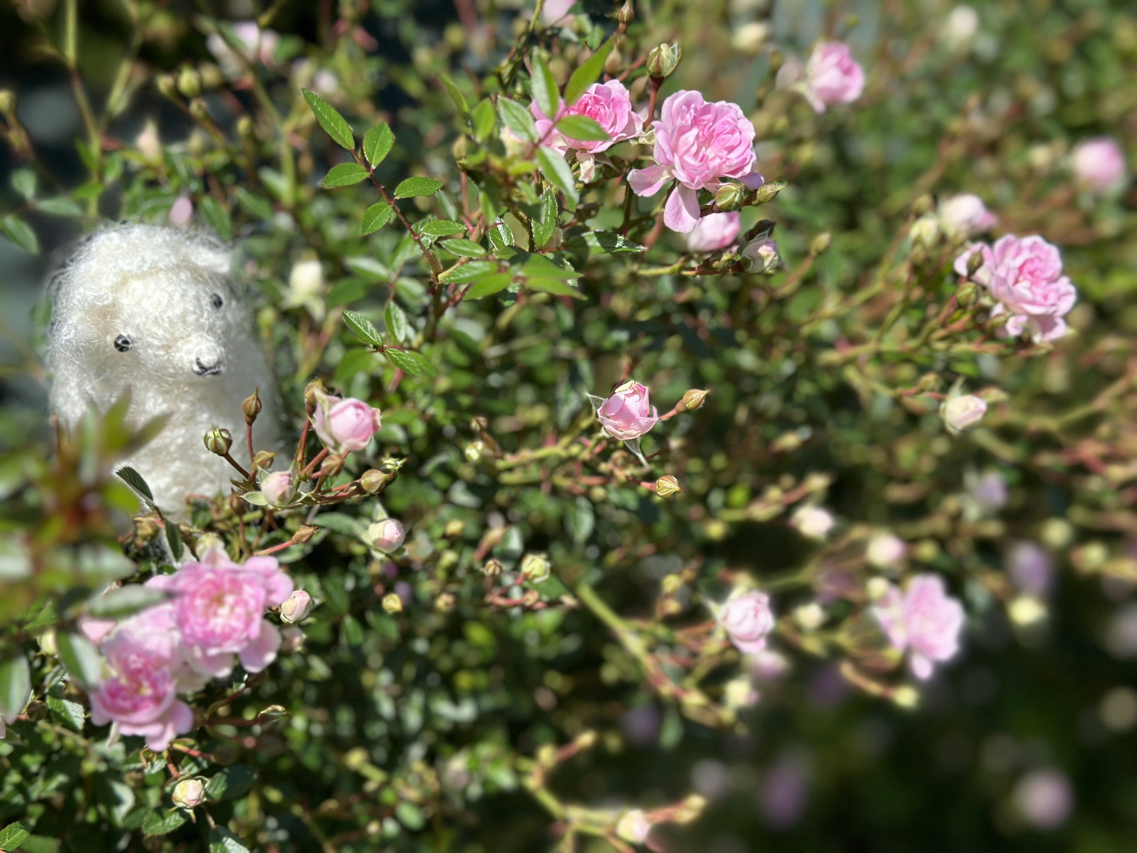 Juguete de peluche blanco entre pequeñas flores rosas en follaje verde