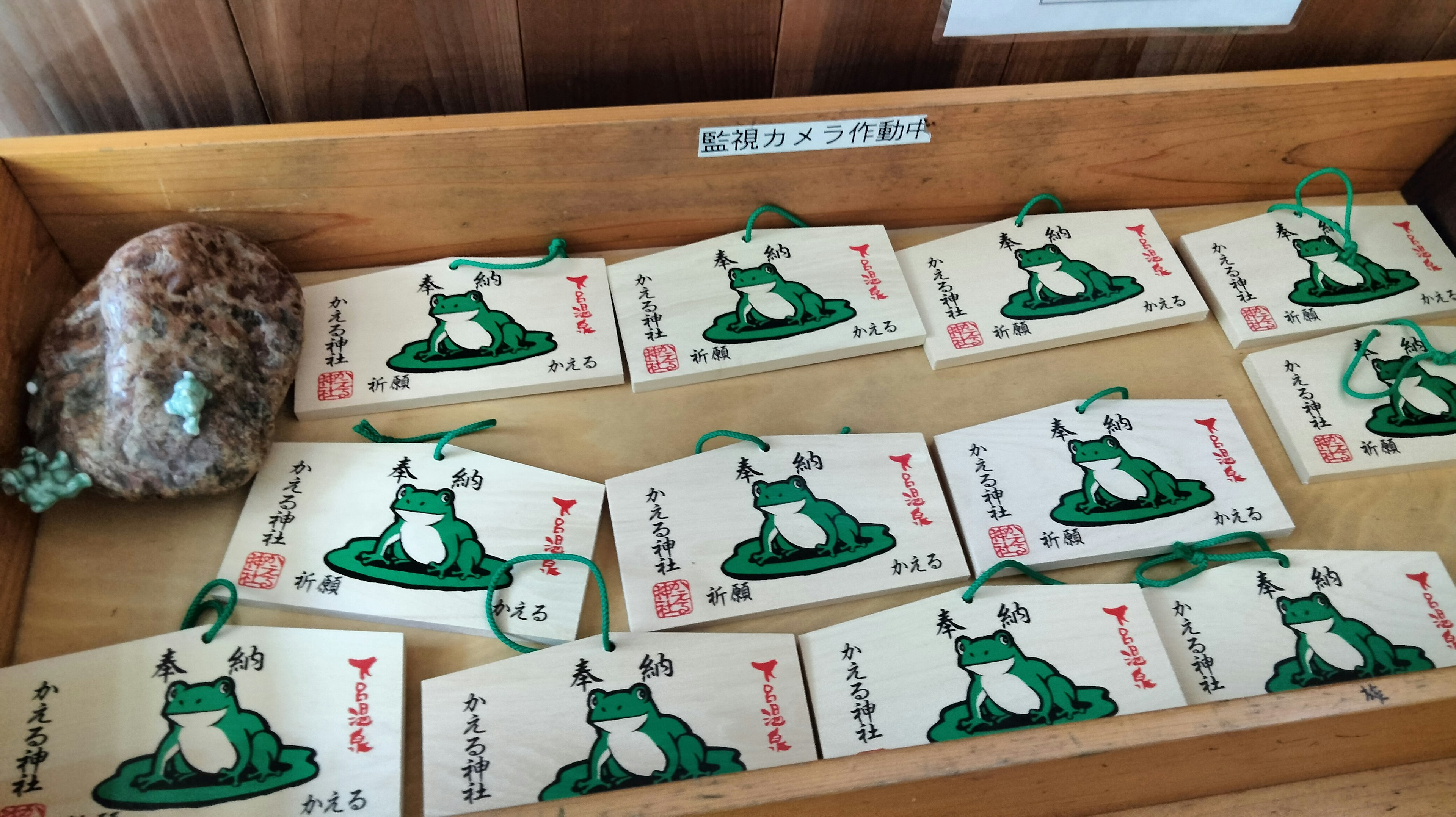 A box containing amulets with green frog illustrations