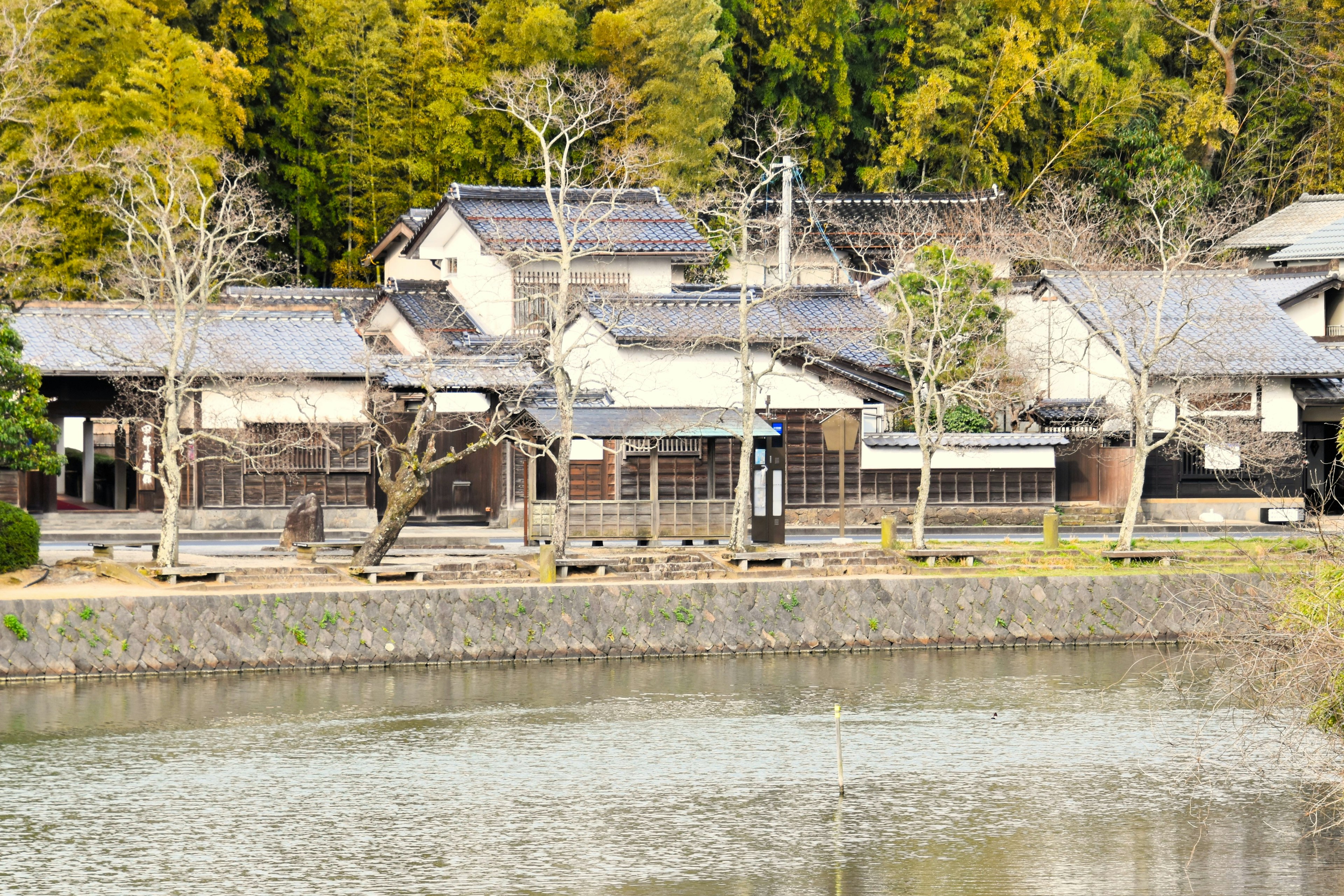 Traditional Japanese houses lined along a tranquil pond with trees