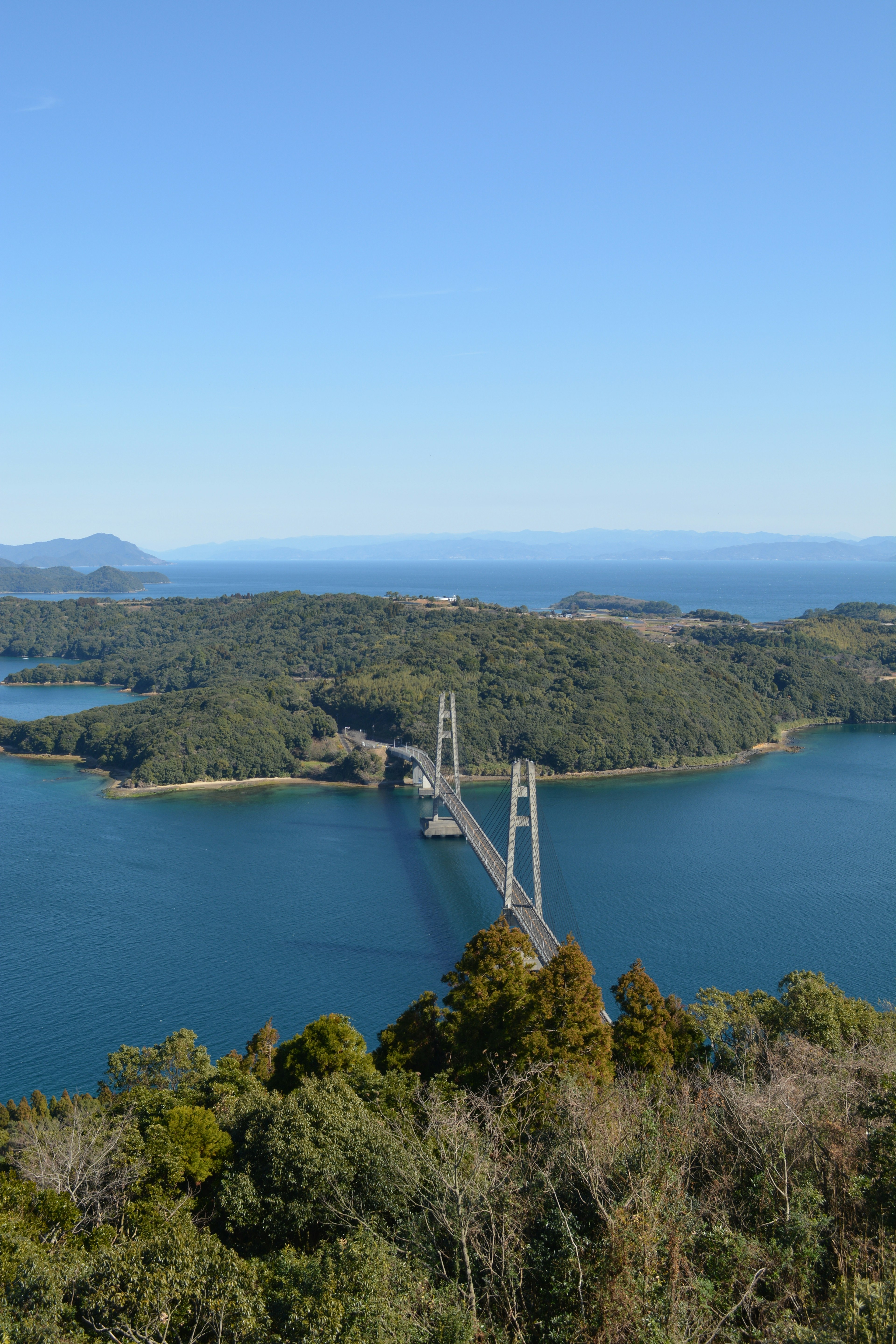 Un beau pont traverse un lac entouré de verdure luxuriante