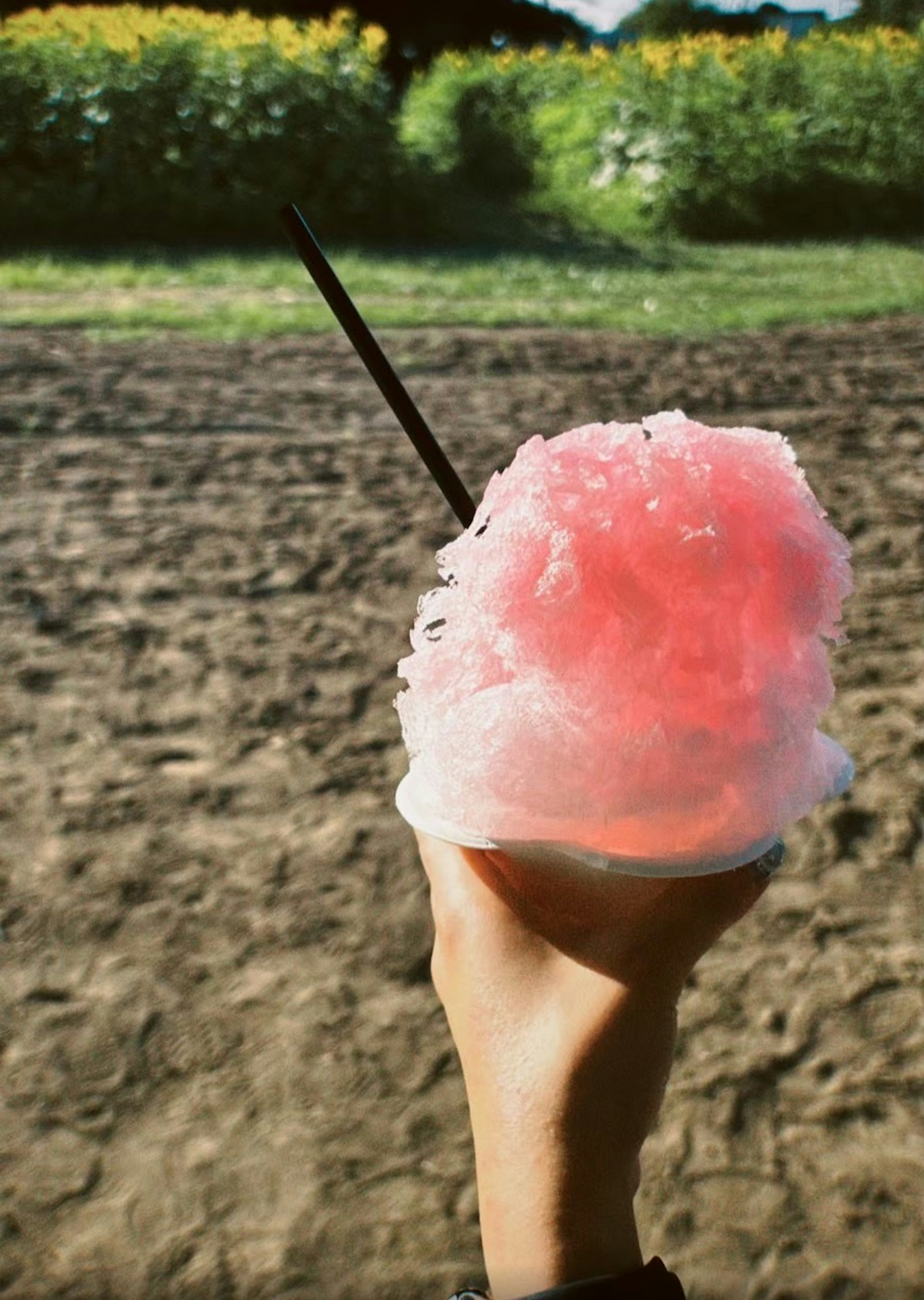 A hand holding pink cotton candy with a green landscape in the background