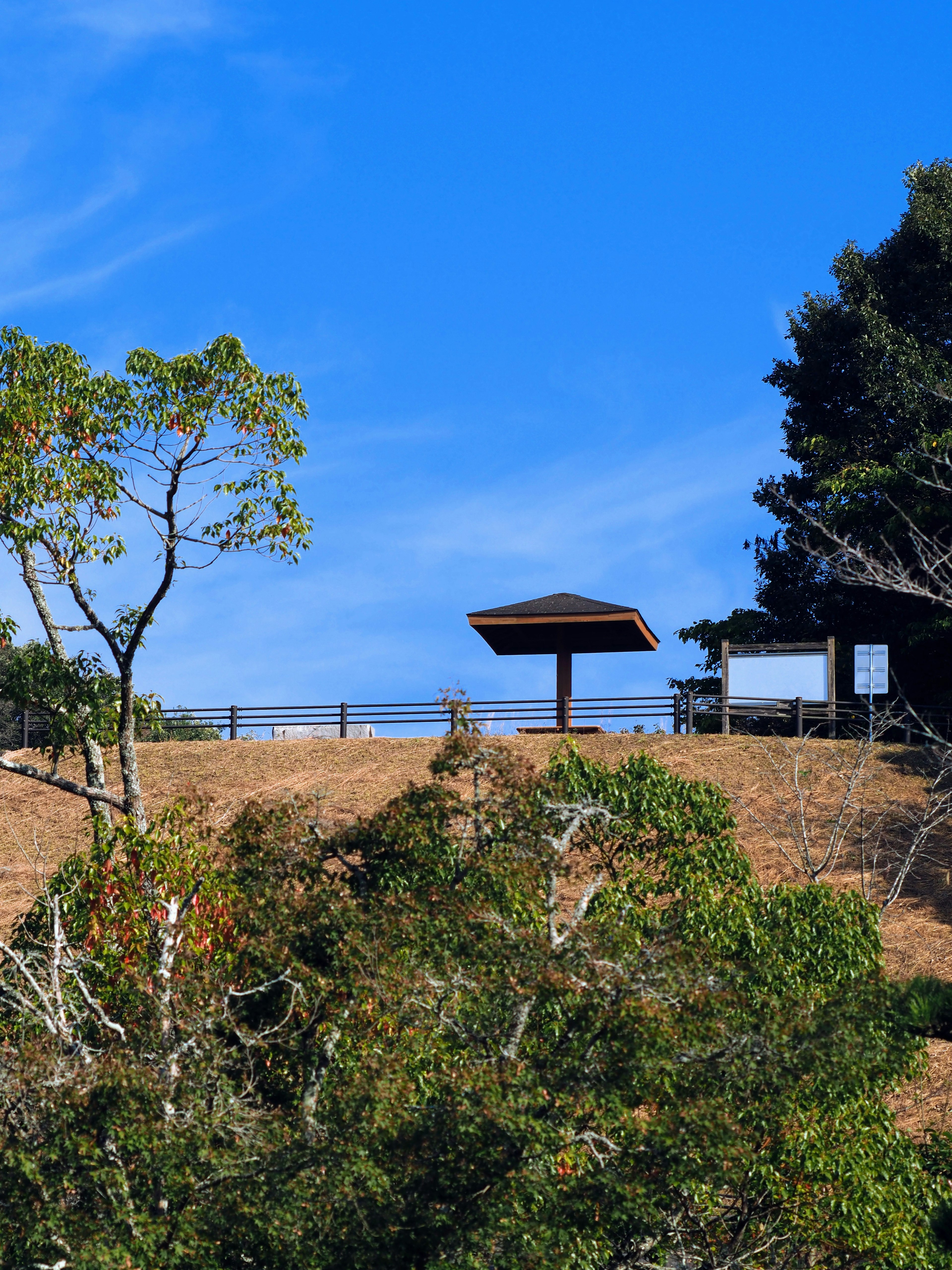 Pemandangan indah dengan gazebo di bawah langit biru dan pepohonan