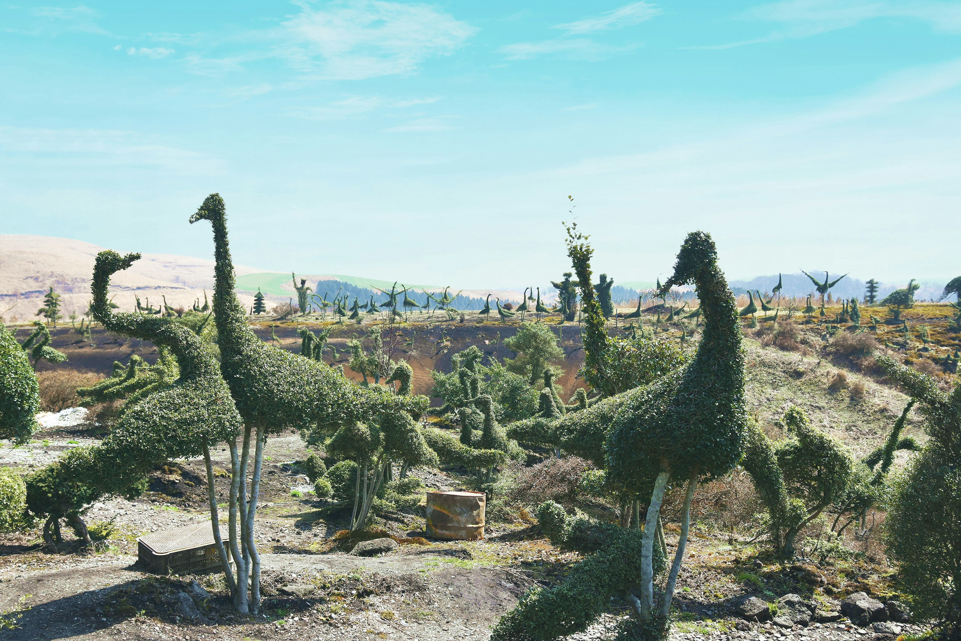 Landscape featuring dinosaur-shaped topiary sculptures made of greenery