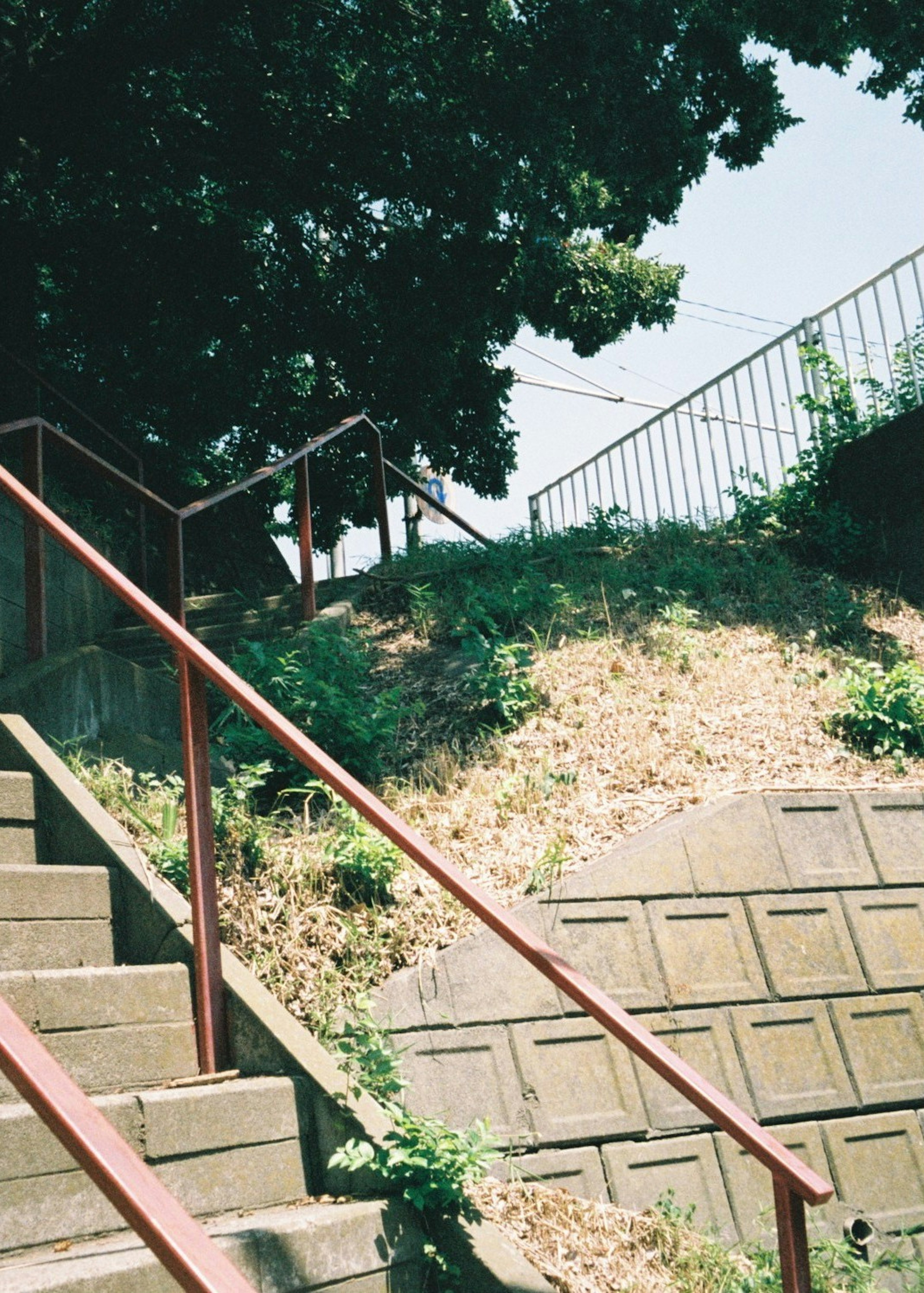 赤い手すりのある階段が草の生えた丘に続いている