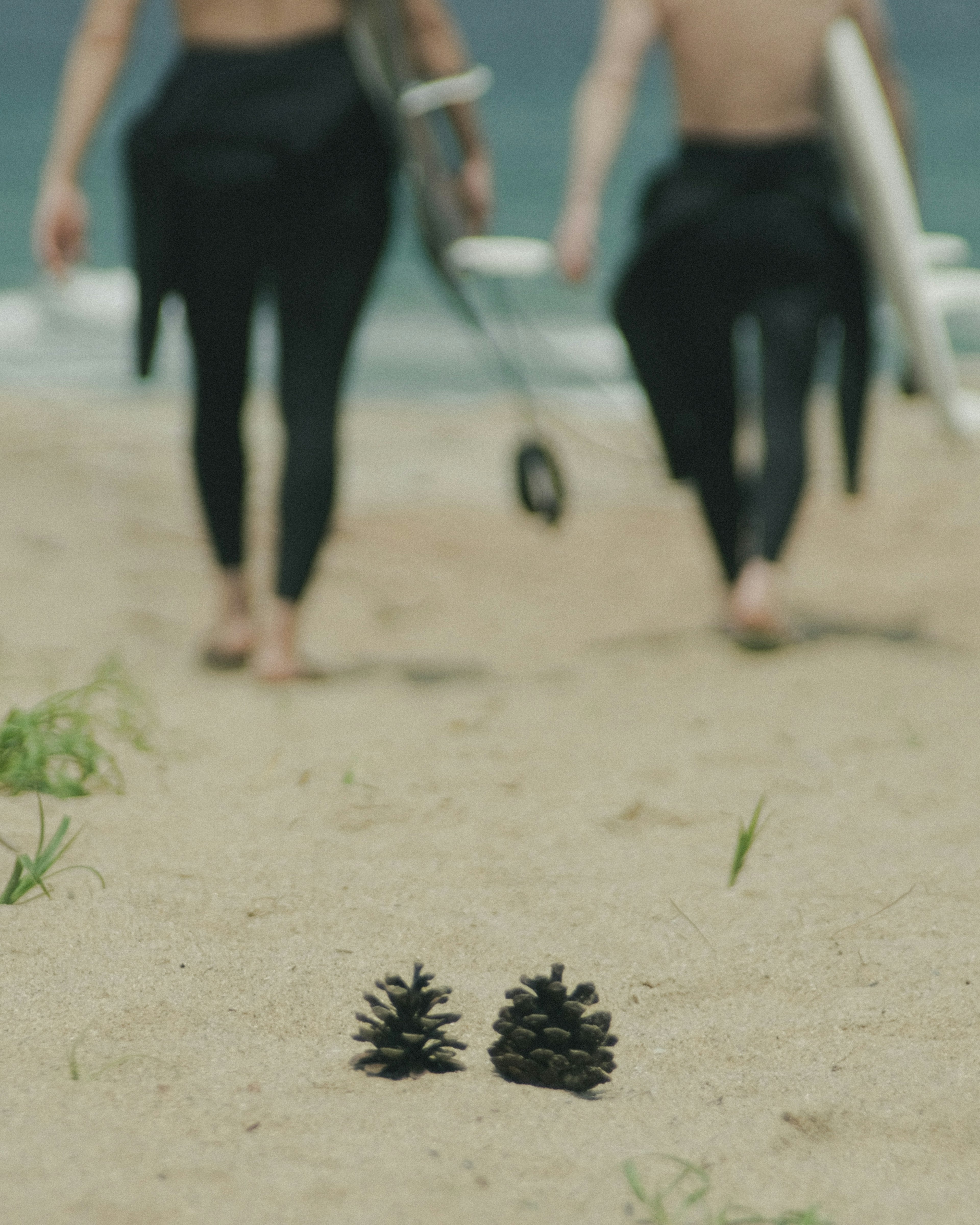 Pigne sulla spiaggia con surfisti che camminano sullo sfondo