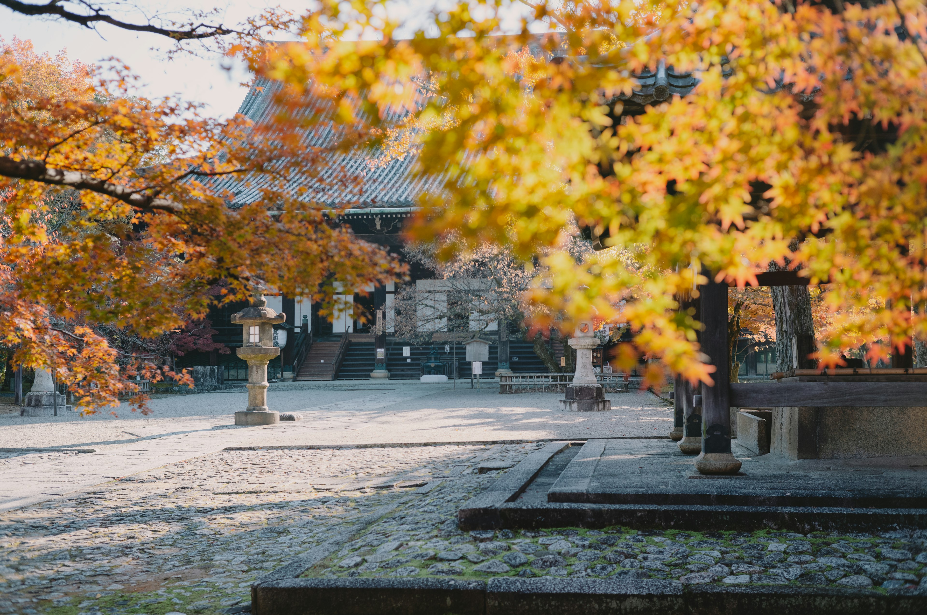 Scenic view of a temple courtyard surrounded by autumn foliage